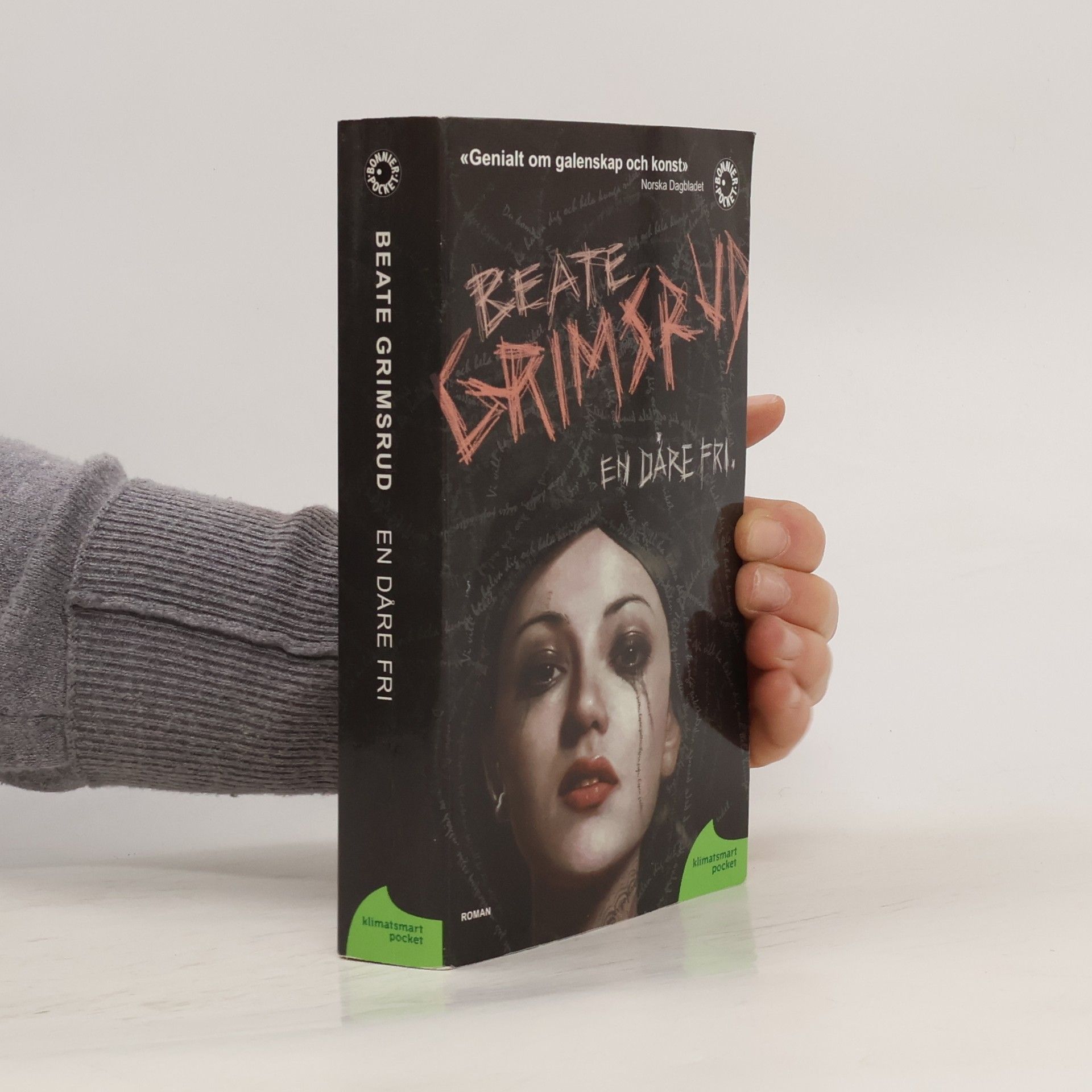 Beate Grimsrud En dåre fri