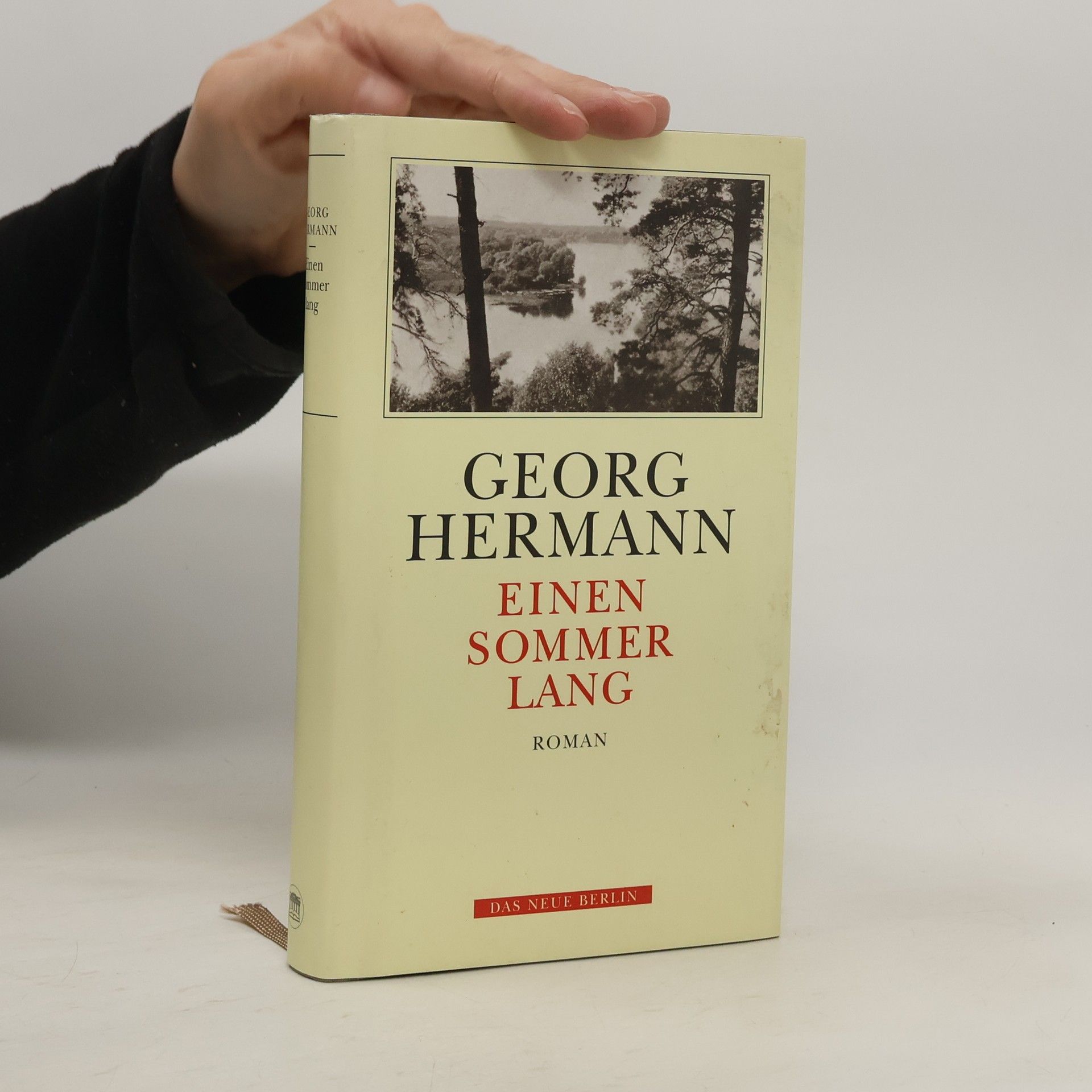Georg Hermann Einen Sommer lang