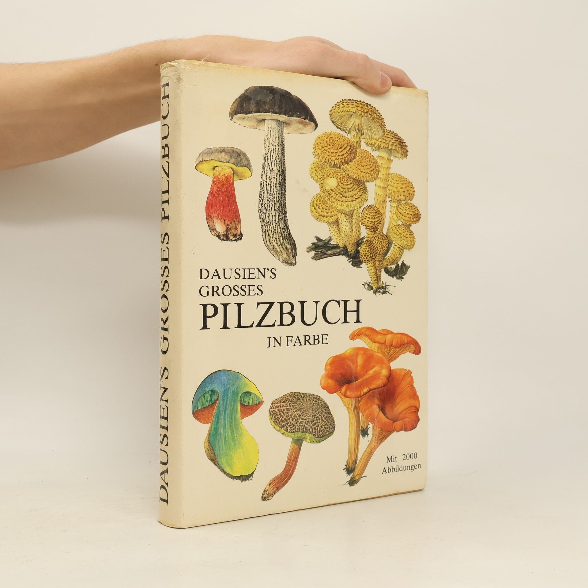 Mirko Svrček Dausien's grosses Pilzbuch in Farbe