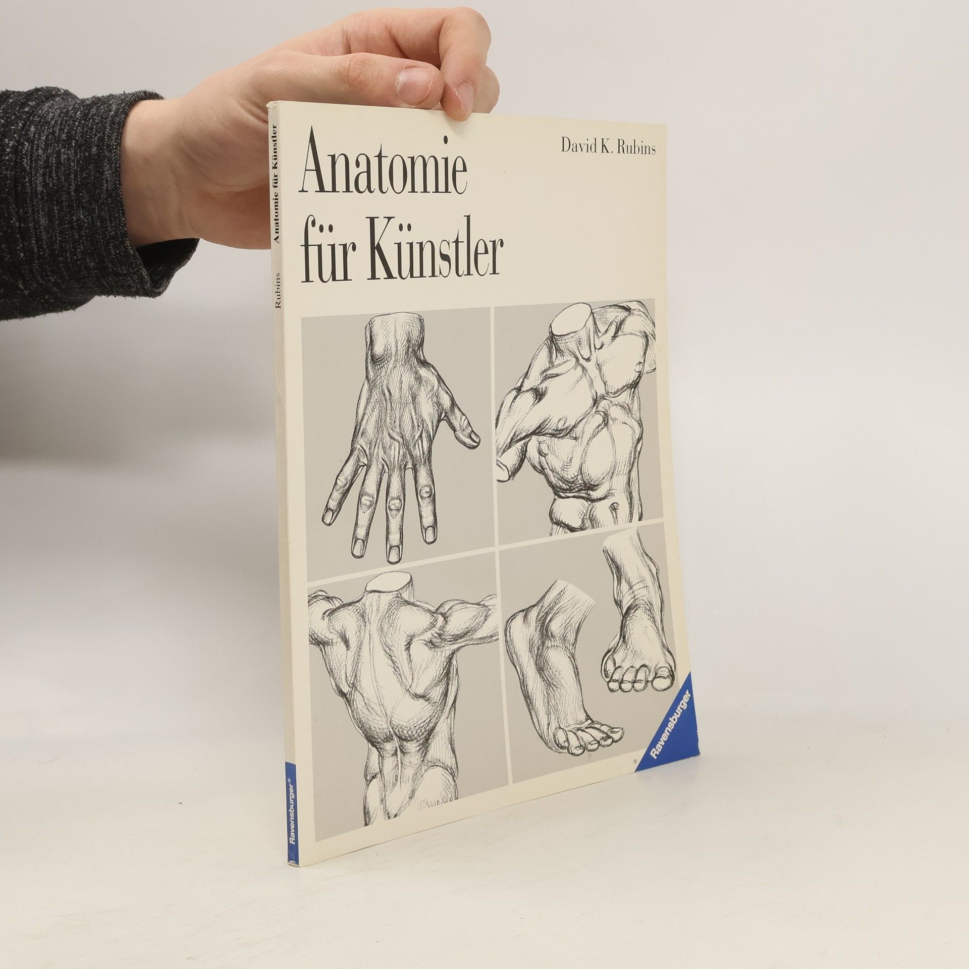 David K. Rubins Anatomie für Künstler