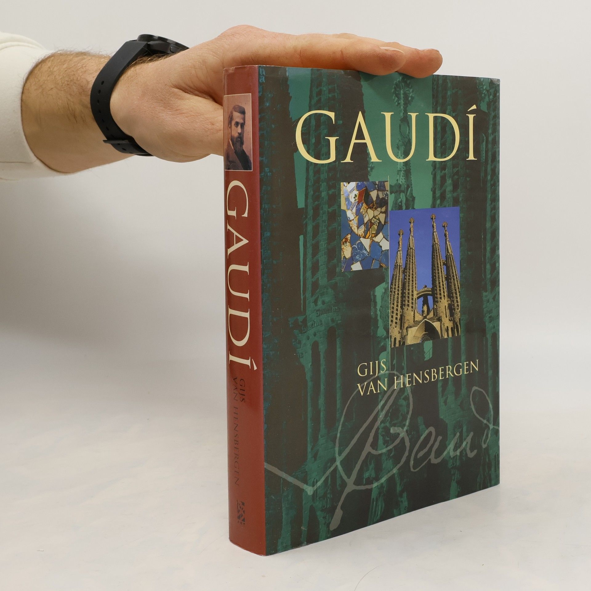Gijs van Hensbergen Gaudí