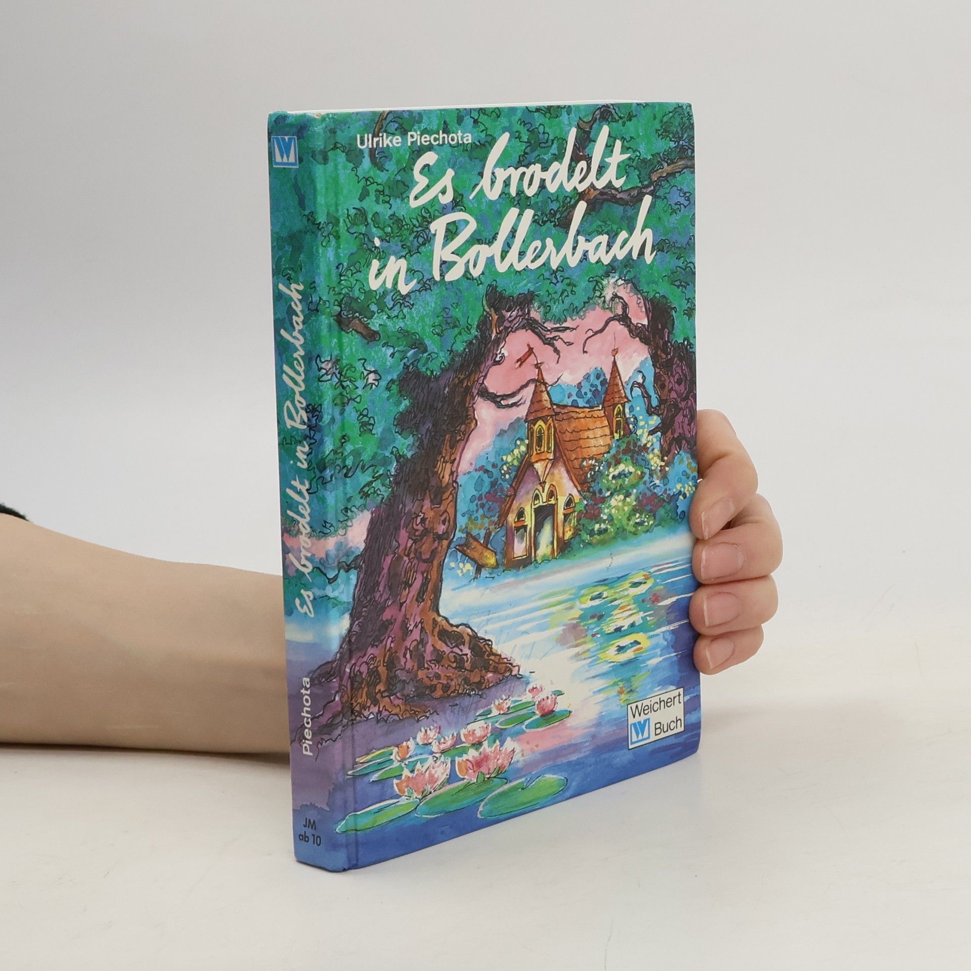 Ulrike Piechota Es brodelt in Bollerbach