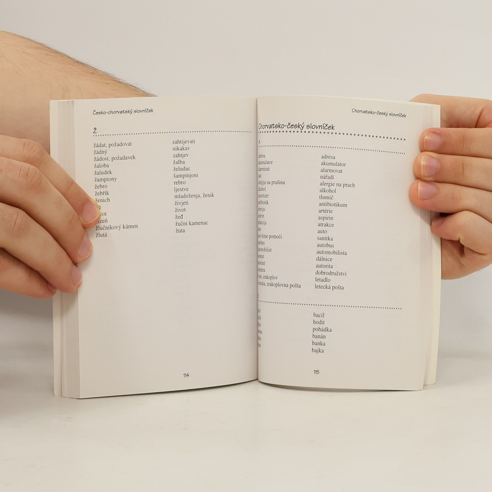 Collectif d'auteurs Chorvatská konverzace