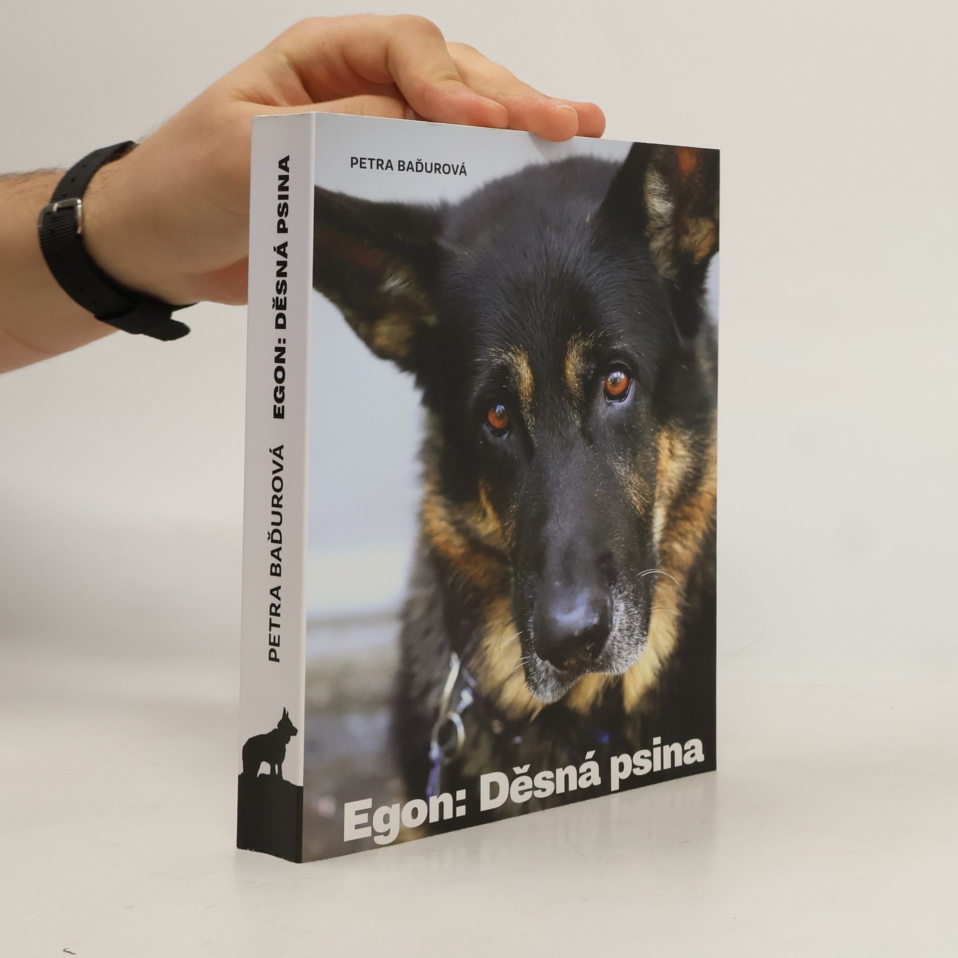 Petra Baďurová Egon: Děsná psina