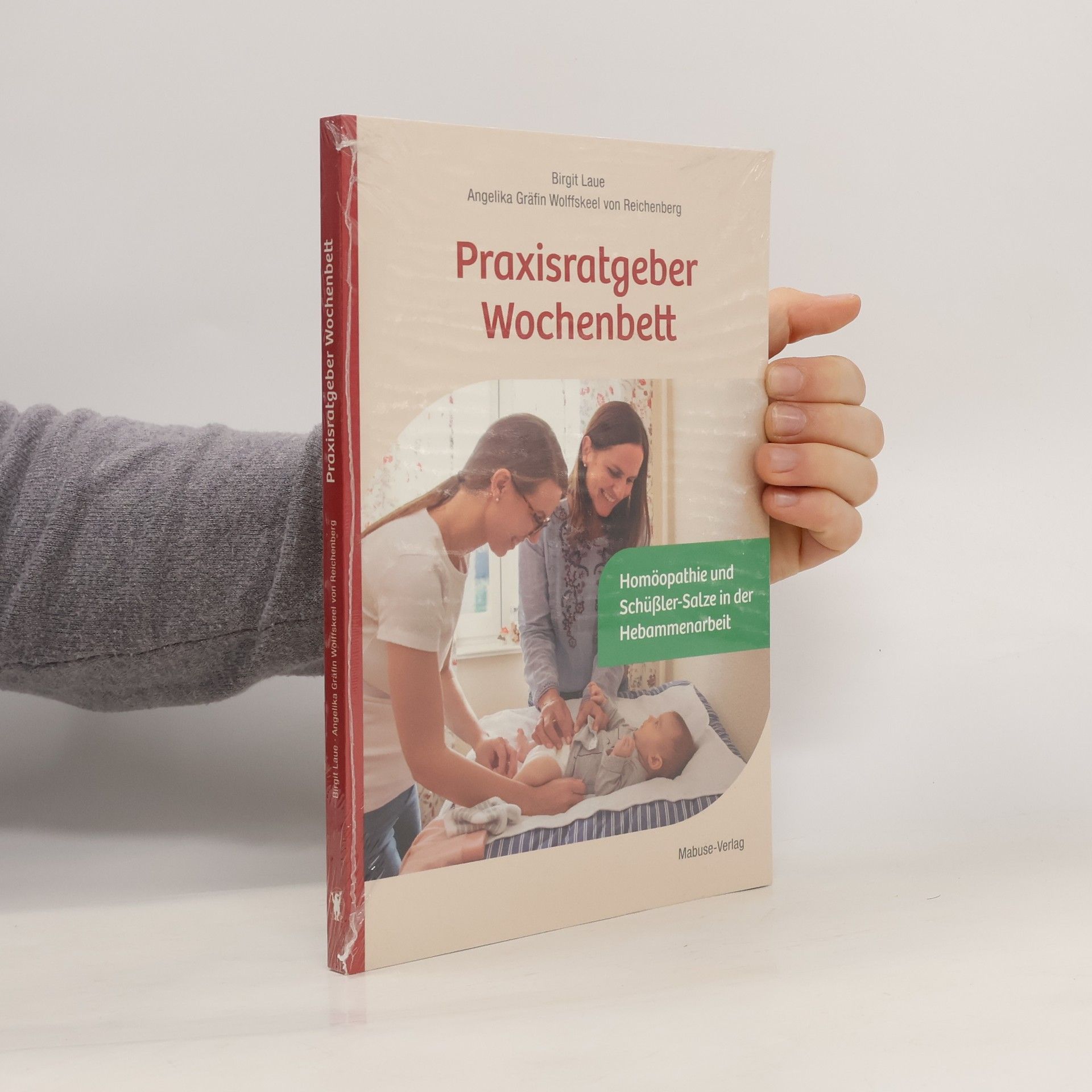 Birgit Laue Praxisratgeber Wochenbett