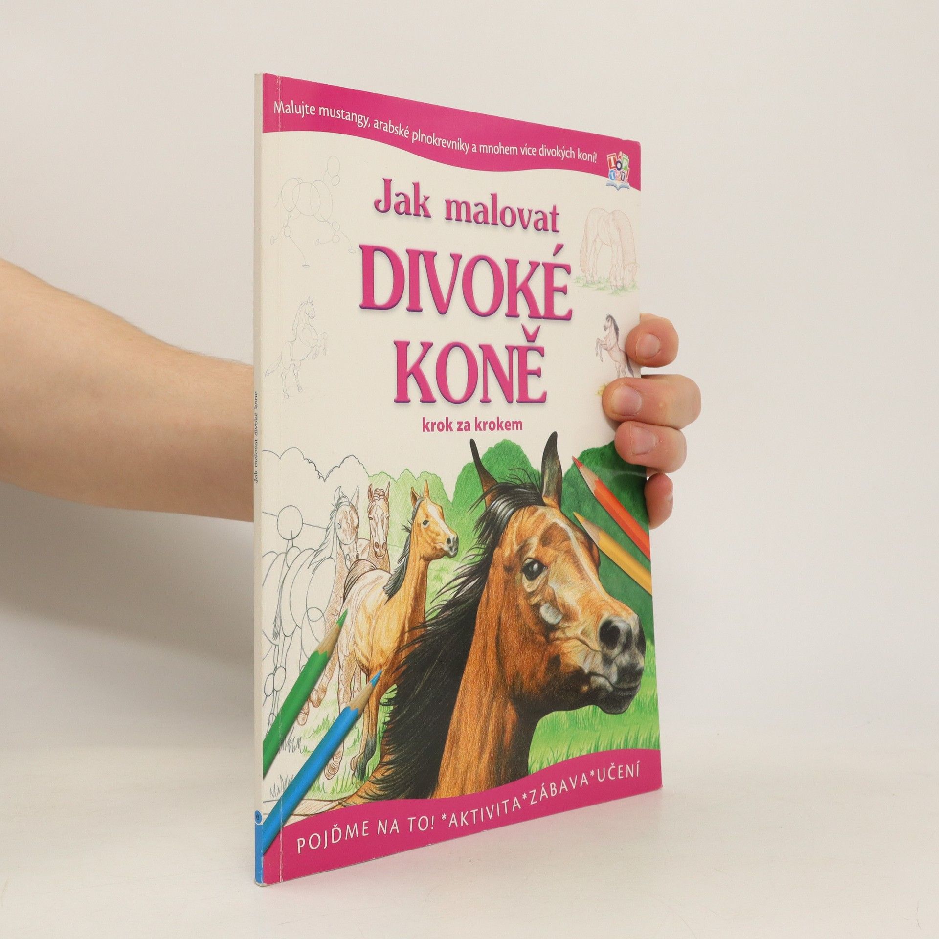 kolektiv Jak malovat divoké koně krok za krokem