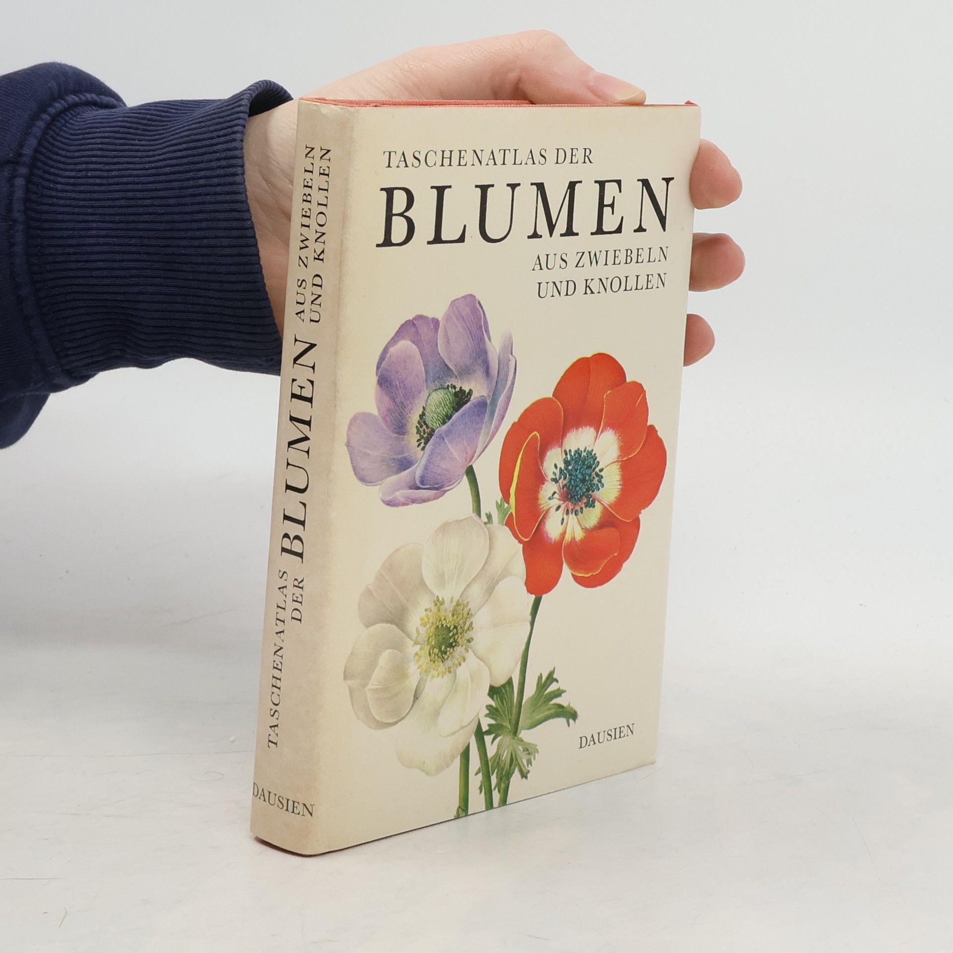 Eva Petrová Taschenatlas der Blumen aus Zwiebeln und Knollen