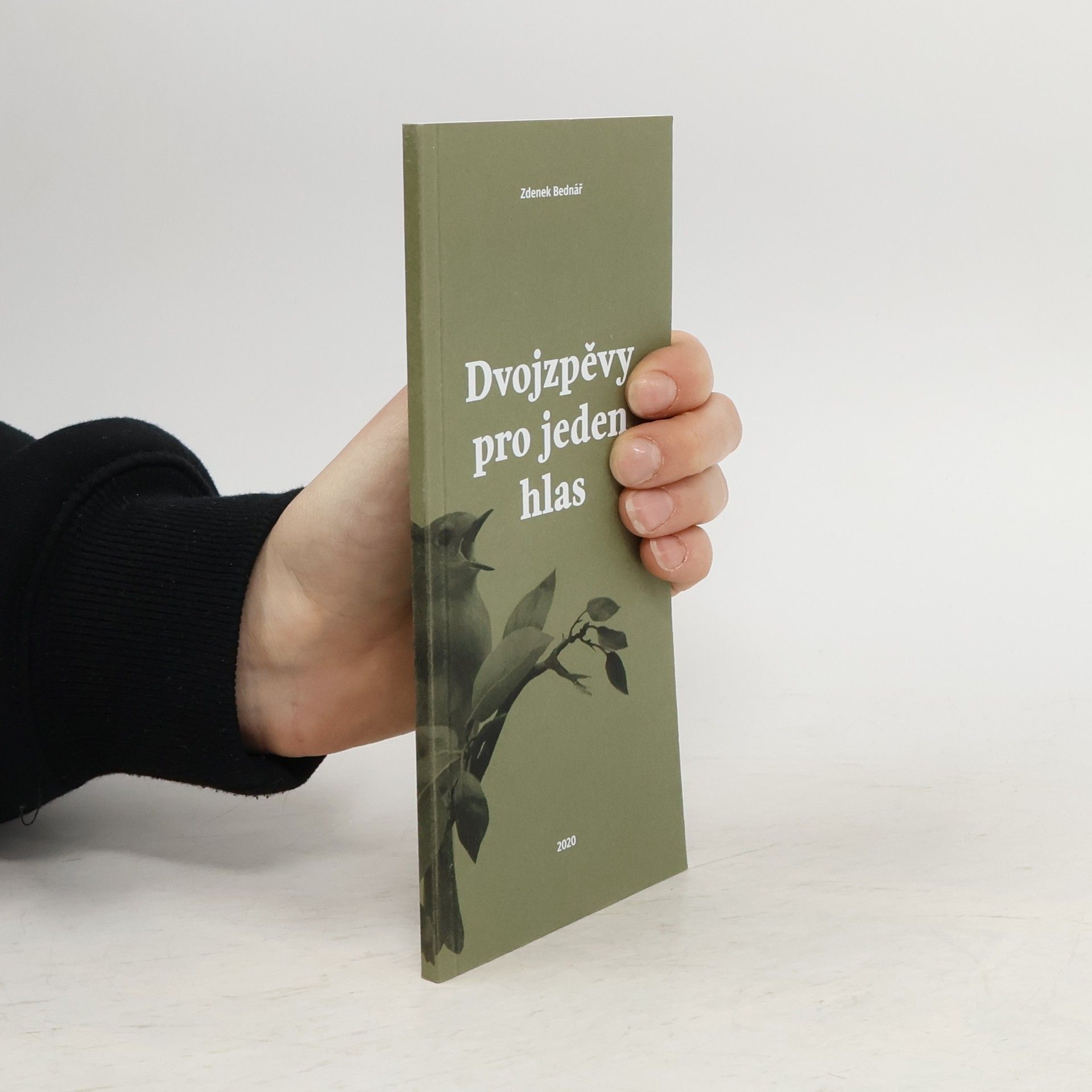 Zdenek Bednář Dvojzpěvy pro jeden hlas
