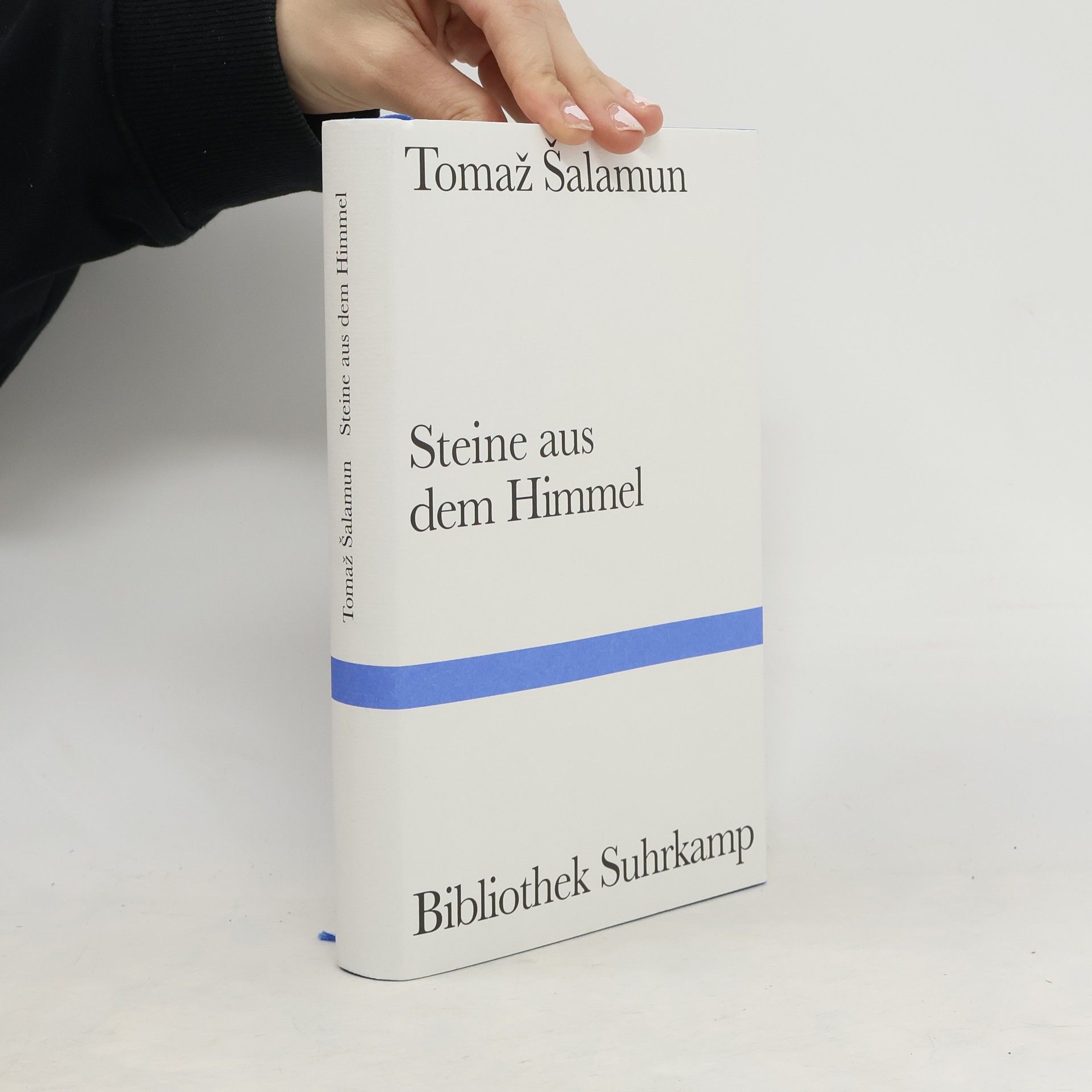 Tomaž Šalamun Steine aus dem Himmel