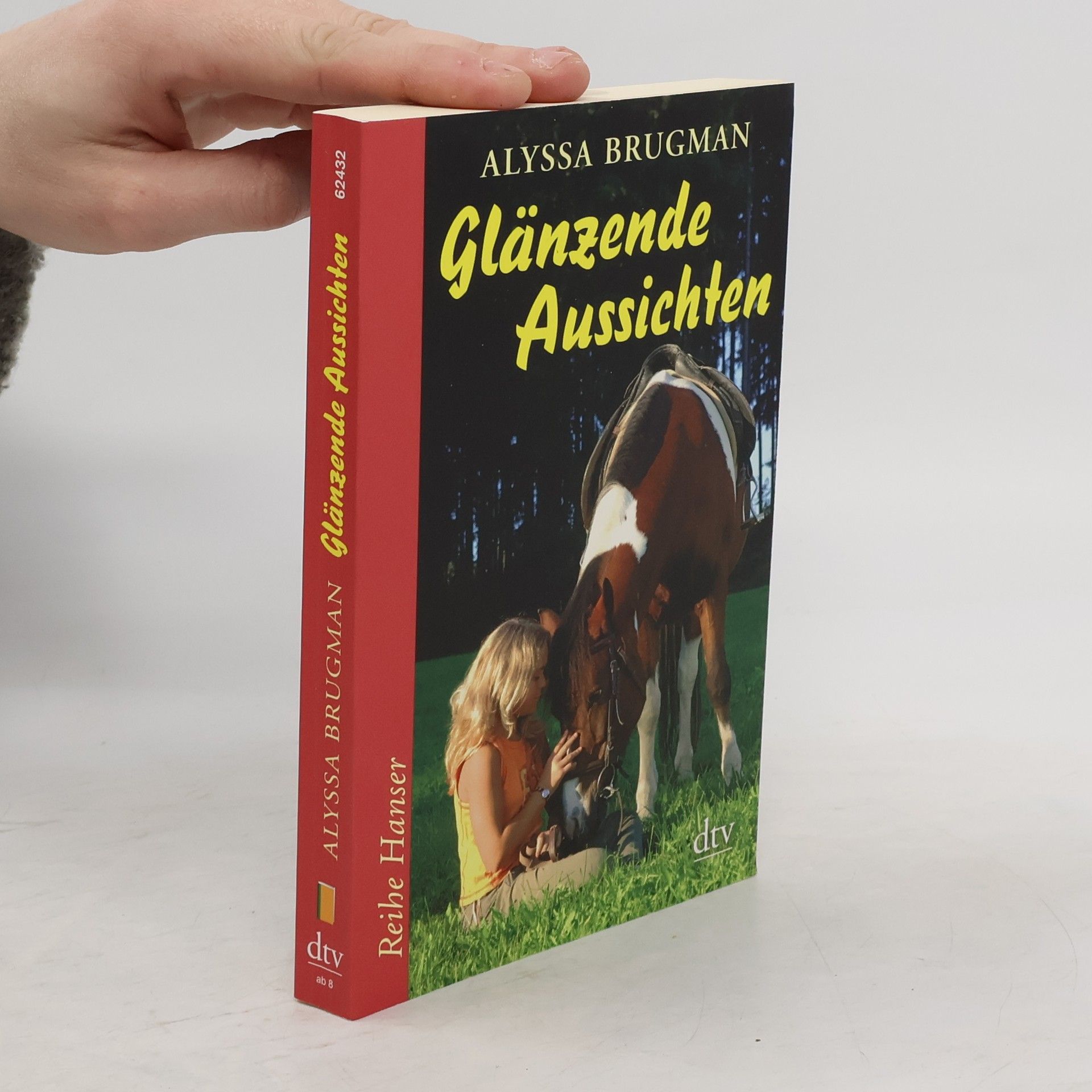 Alyssa Brugman Glänzende Aussichten