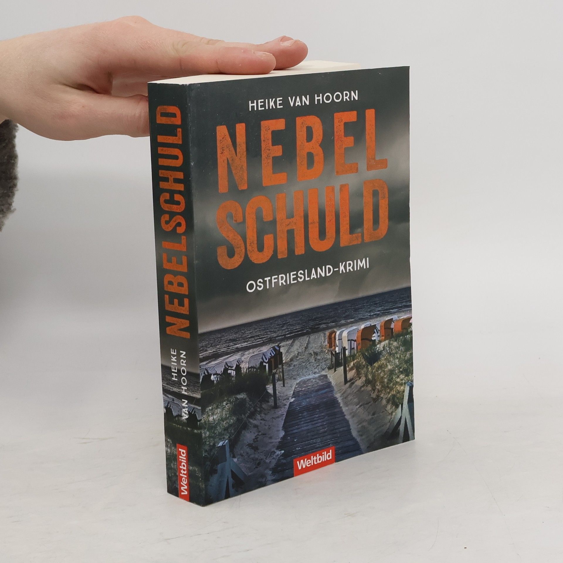 Heike van Hoorn Nebelschuld