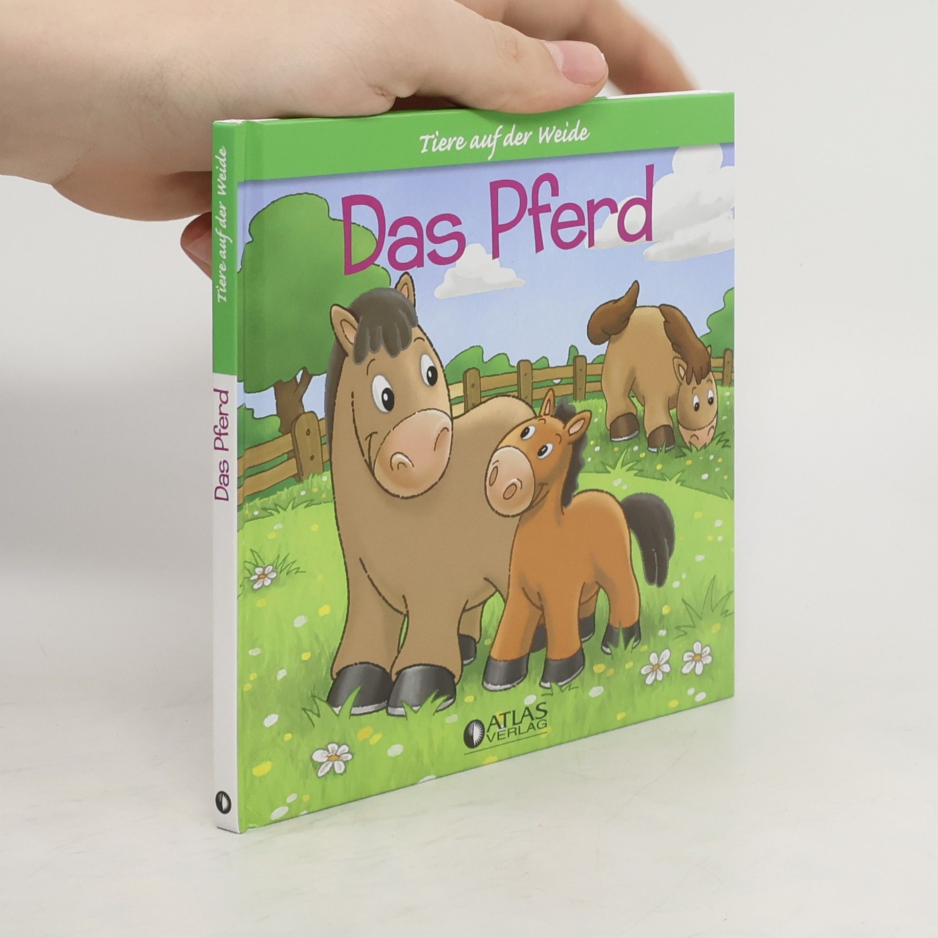 Autorenkollektiv Das Pferd
