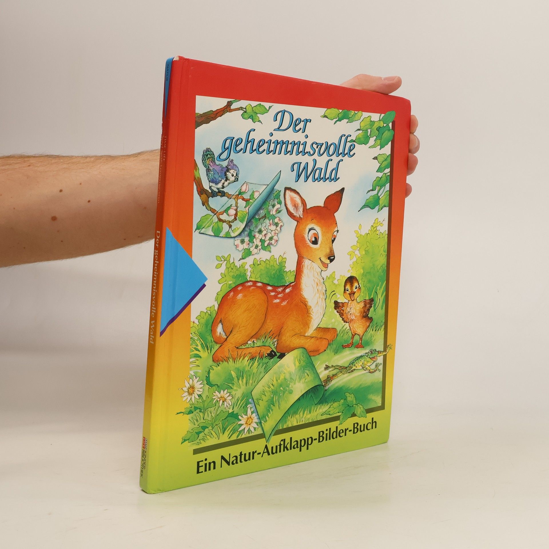 Marianne Tölle Der geheimnisvolle Wald