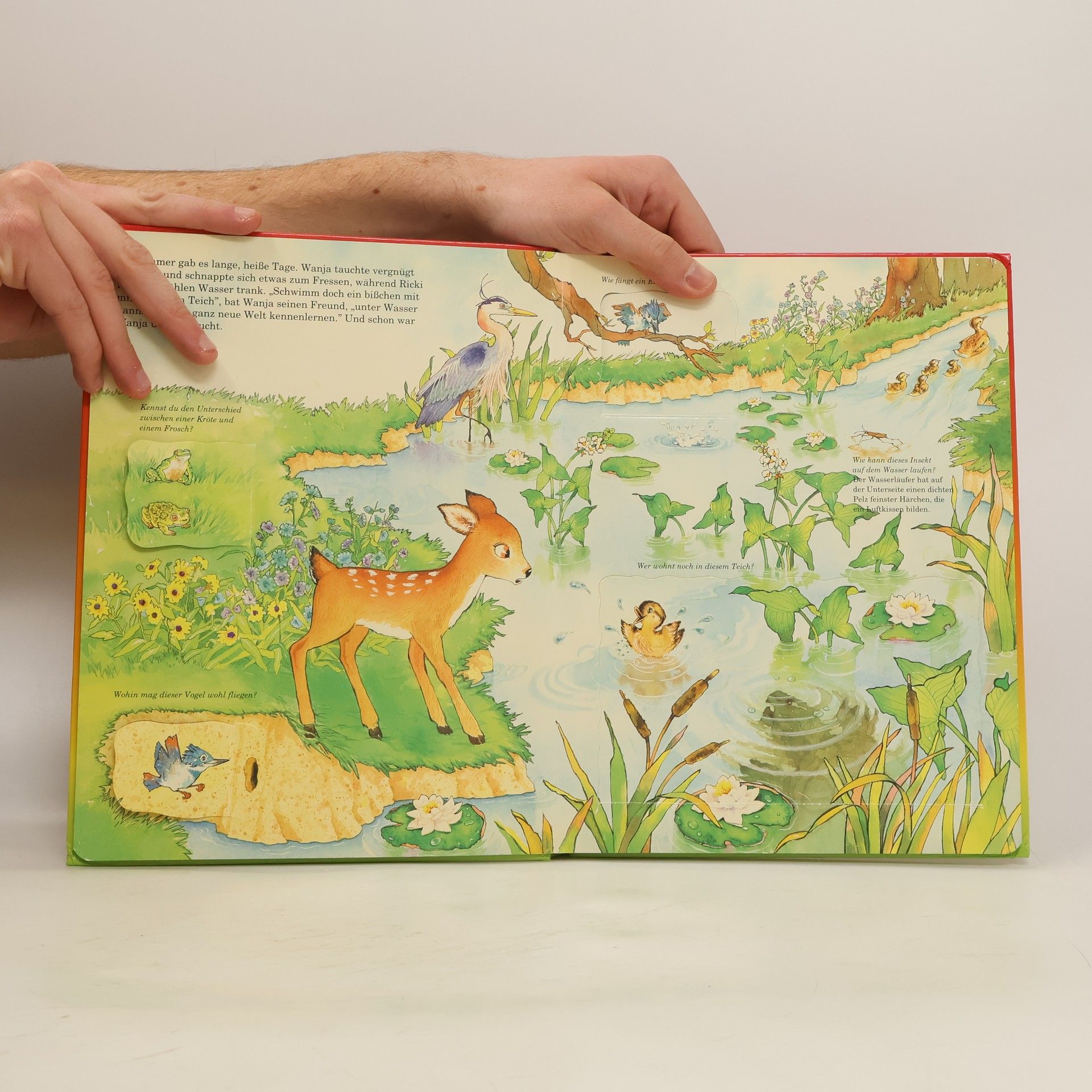 Marianne Tölle Der geheimnisvolle Wald