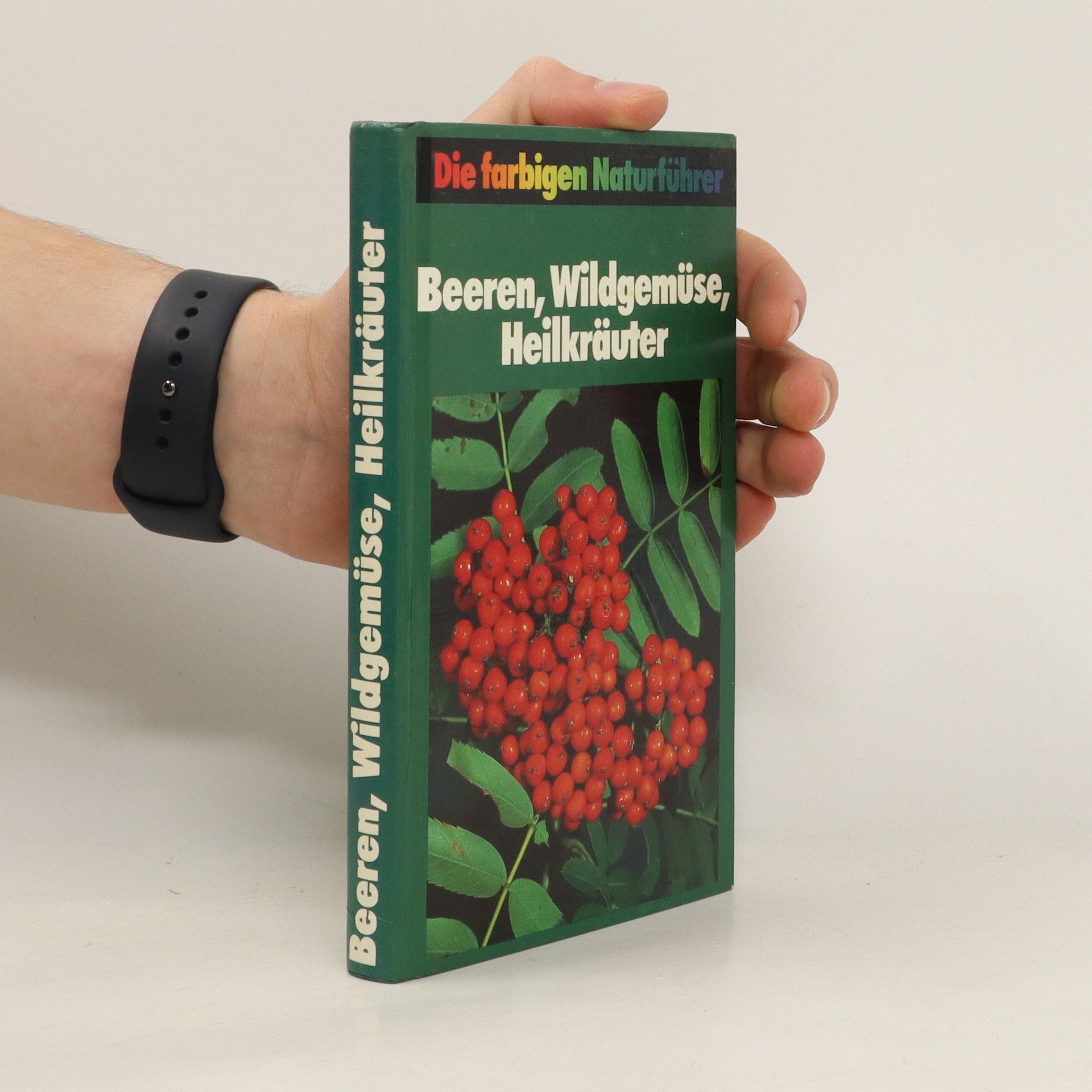 Collectif d'auteurs Beeren, Wildgemüse, Heilkräuter