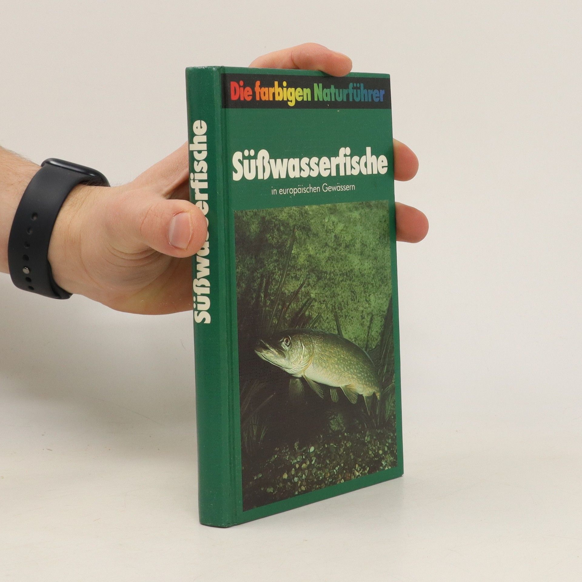 Autorenkollektiv Süßwasserfische in europäischen Gewässern