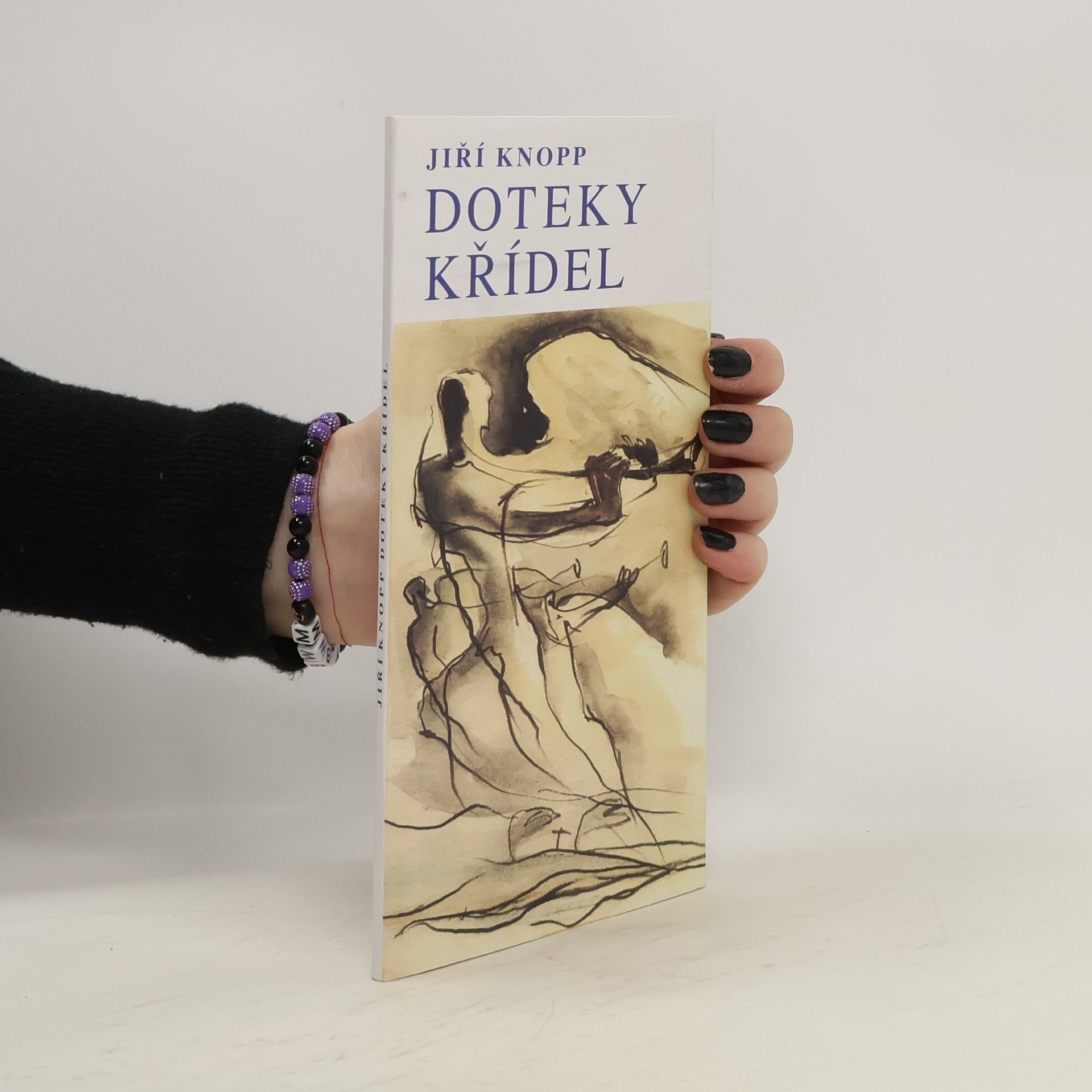 Jiří Knopp Doteky křídel