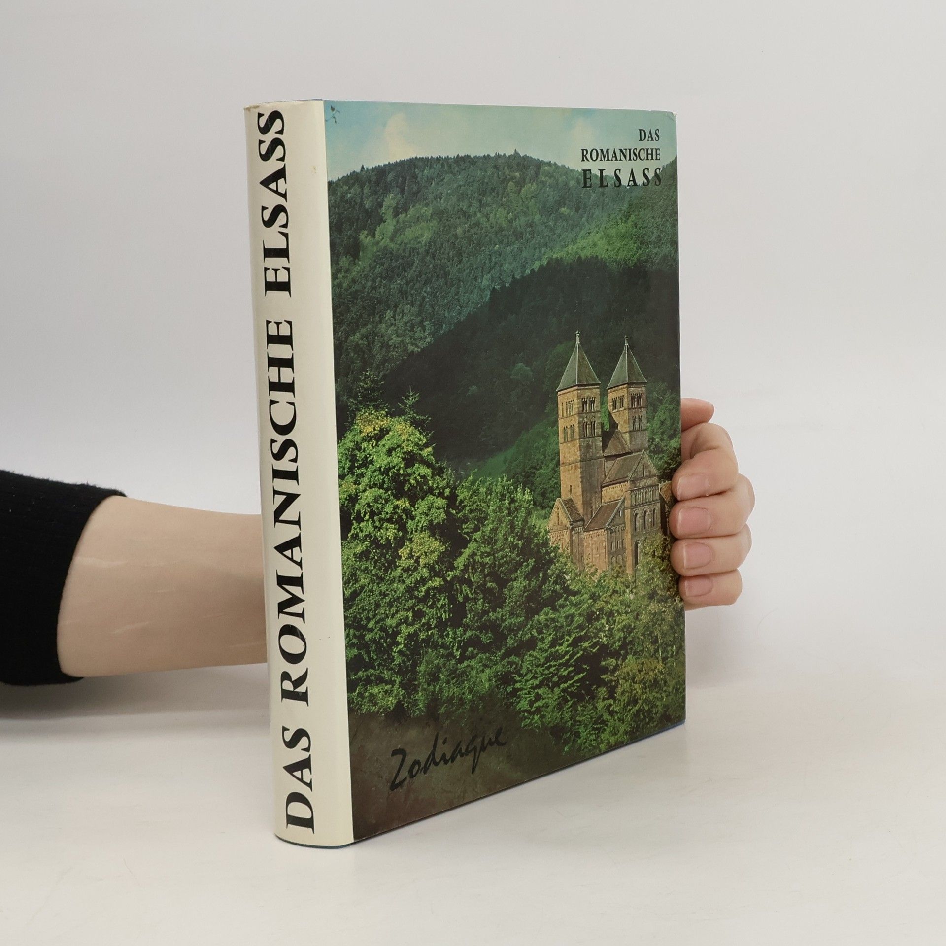 Collectif d'auteurs Das Romanisches Elsass