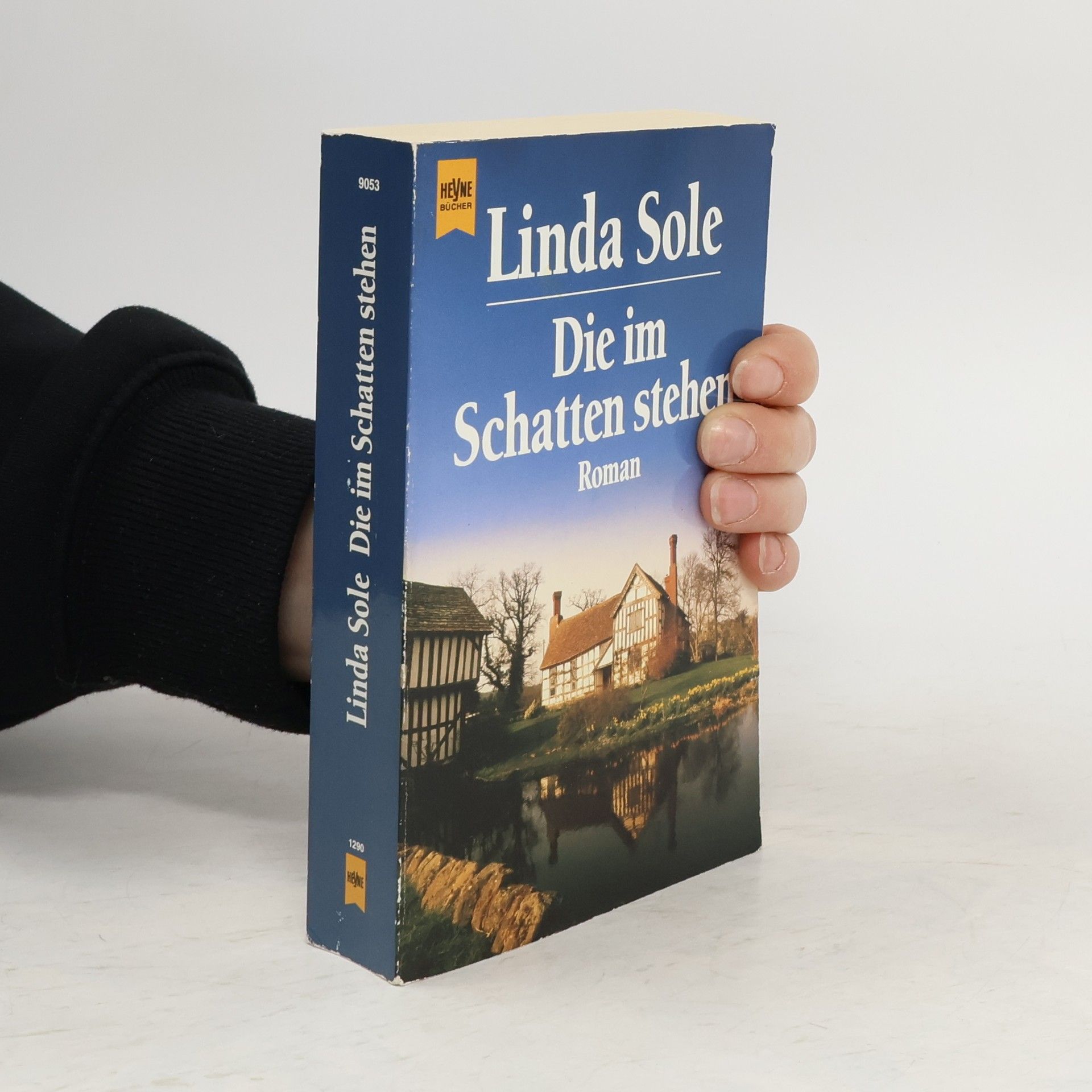 Anne Herries Die im Schatten stehen. Roman.