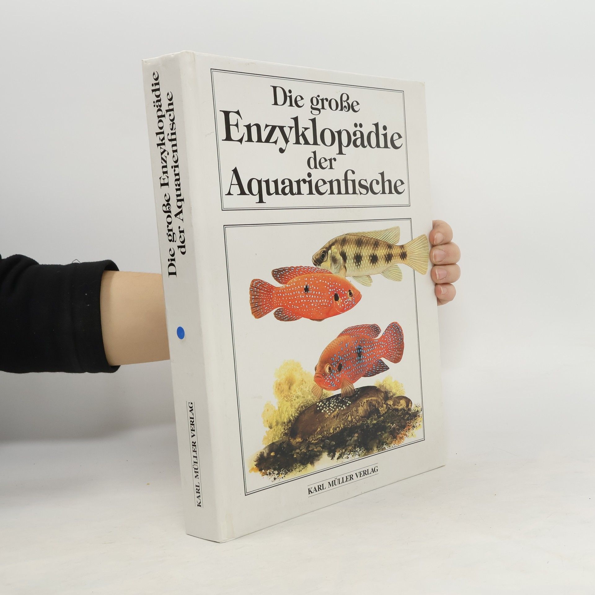 Autorenkollektiv Die große Enzyklopädie der Aquarienfische