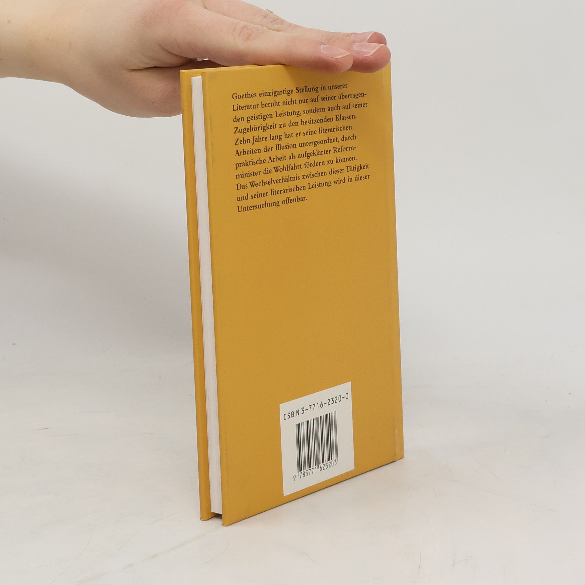 Ulrich Küntzel Die Geschäfte des Herrn Goethe