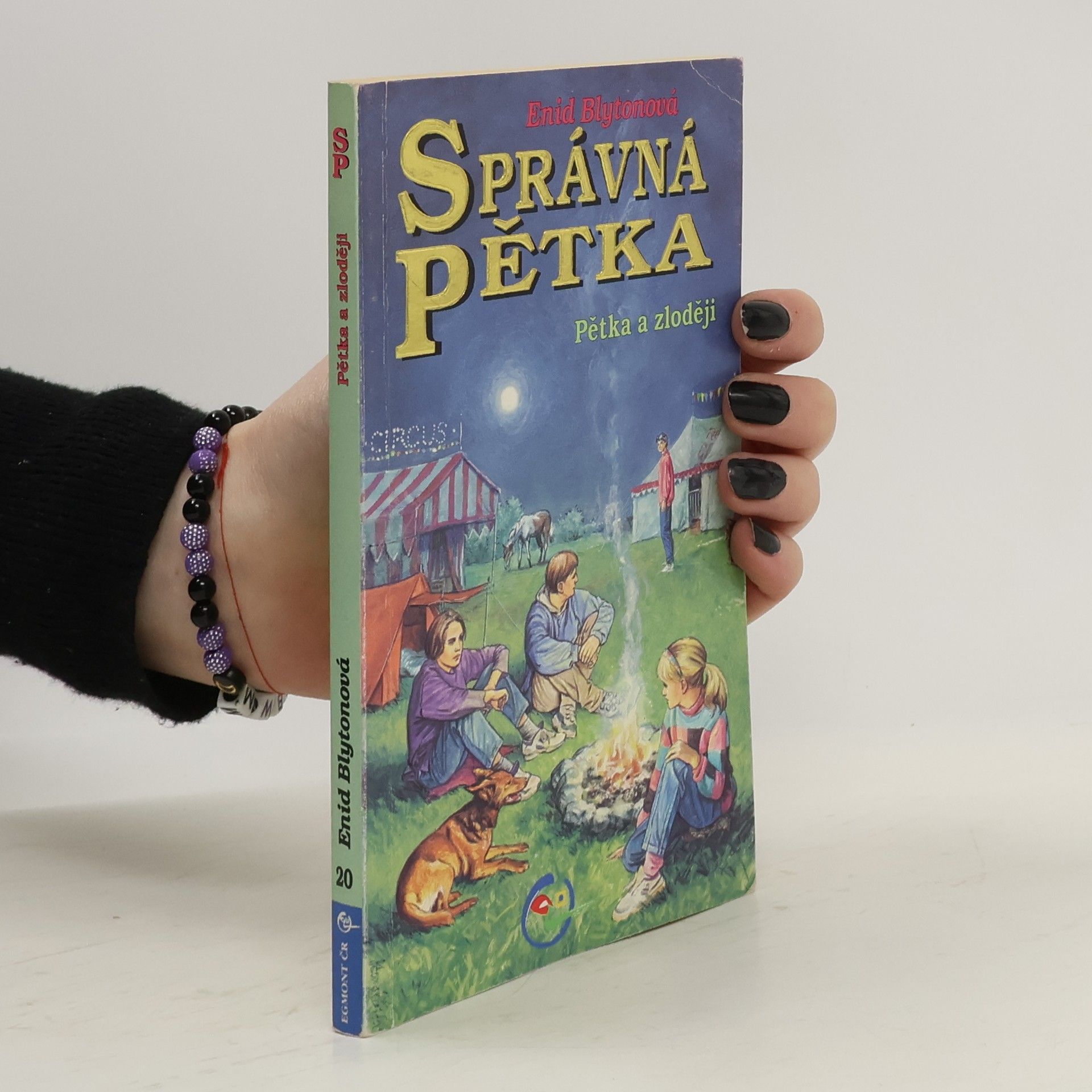 Enid Blyton Správná pětka. Pětka a zloději