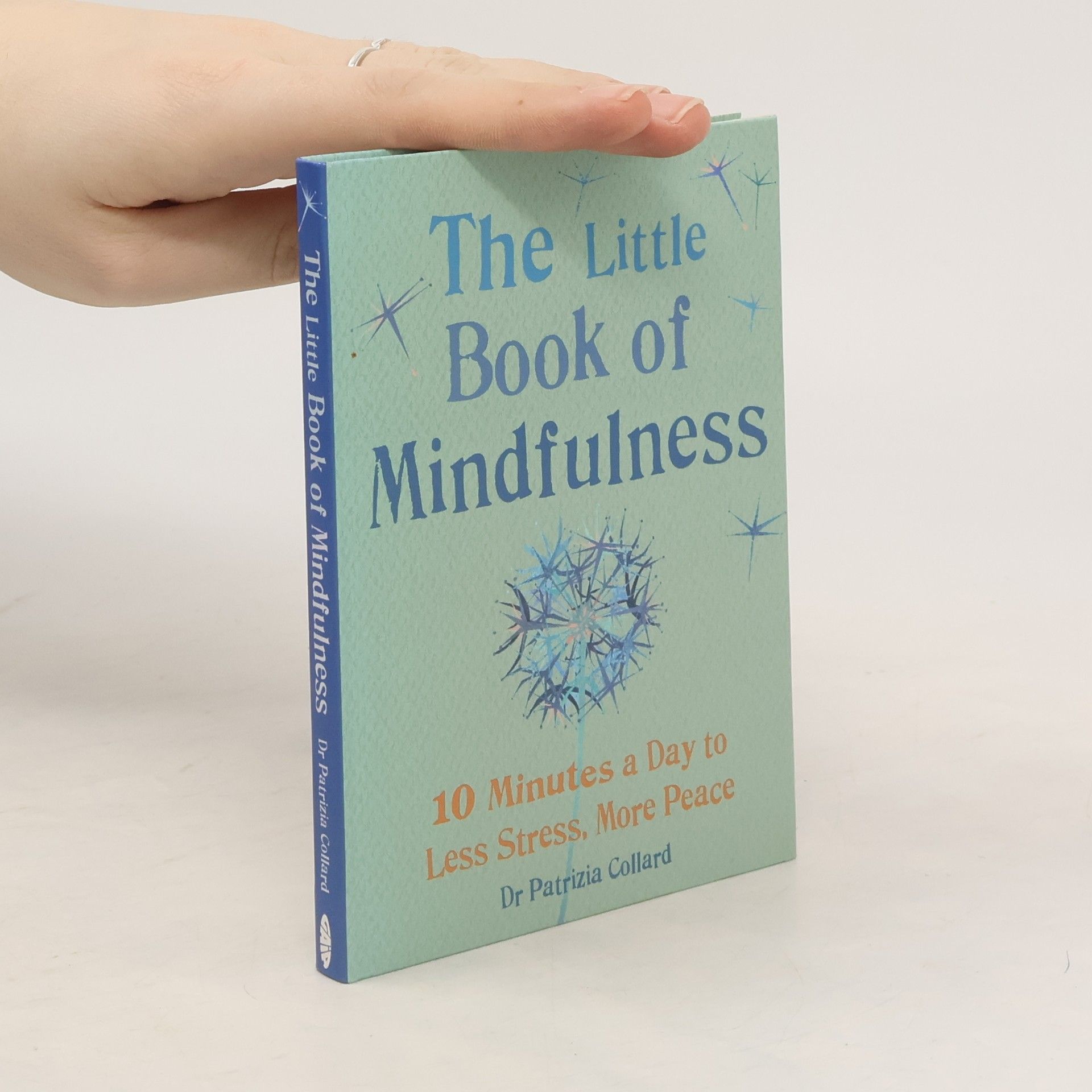 Patrizia Collard The little book of mindfulness