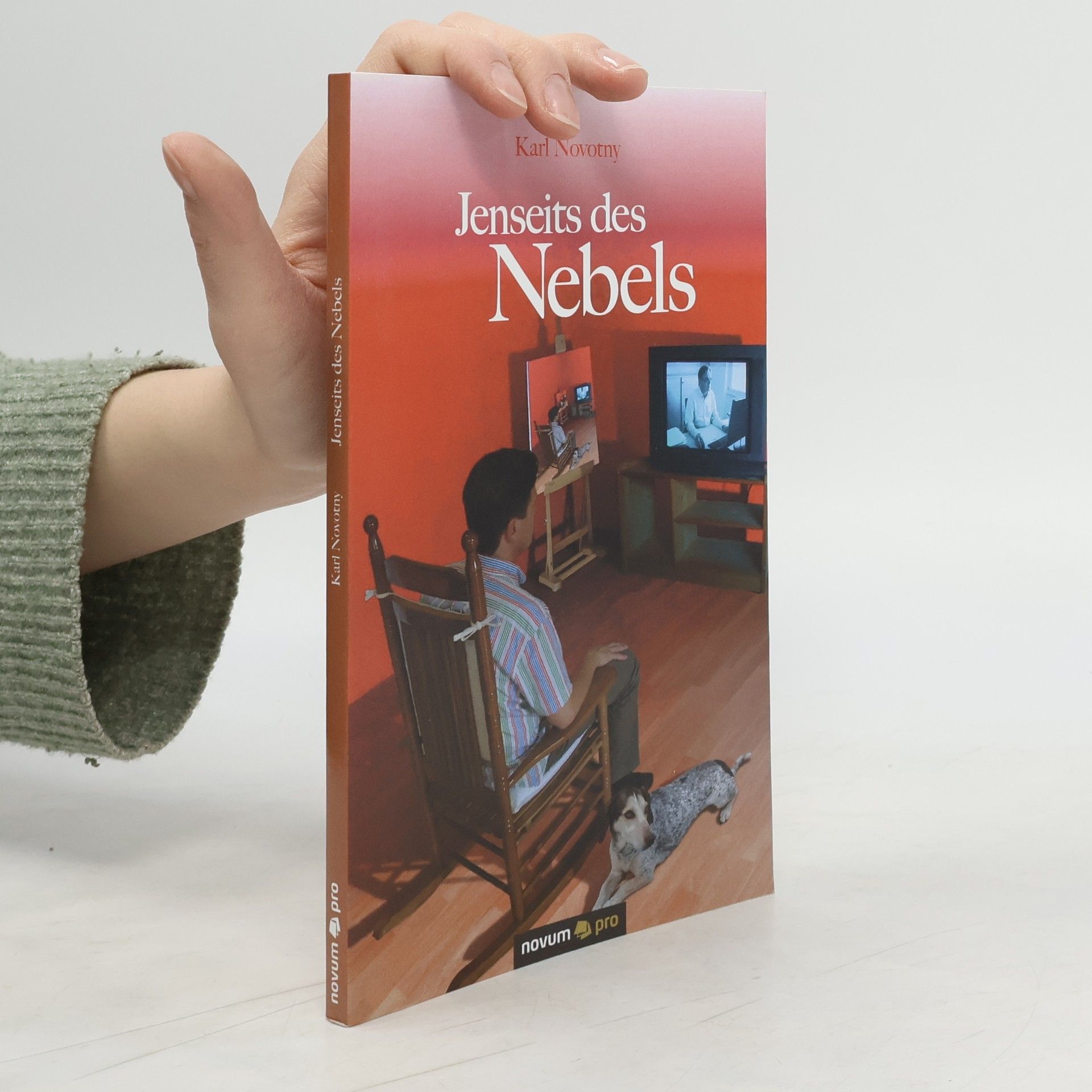 Karl Novotny Jenseits des Nebels