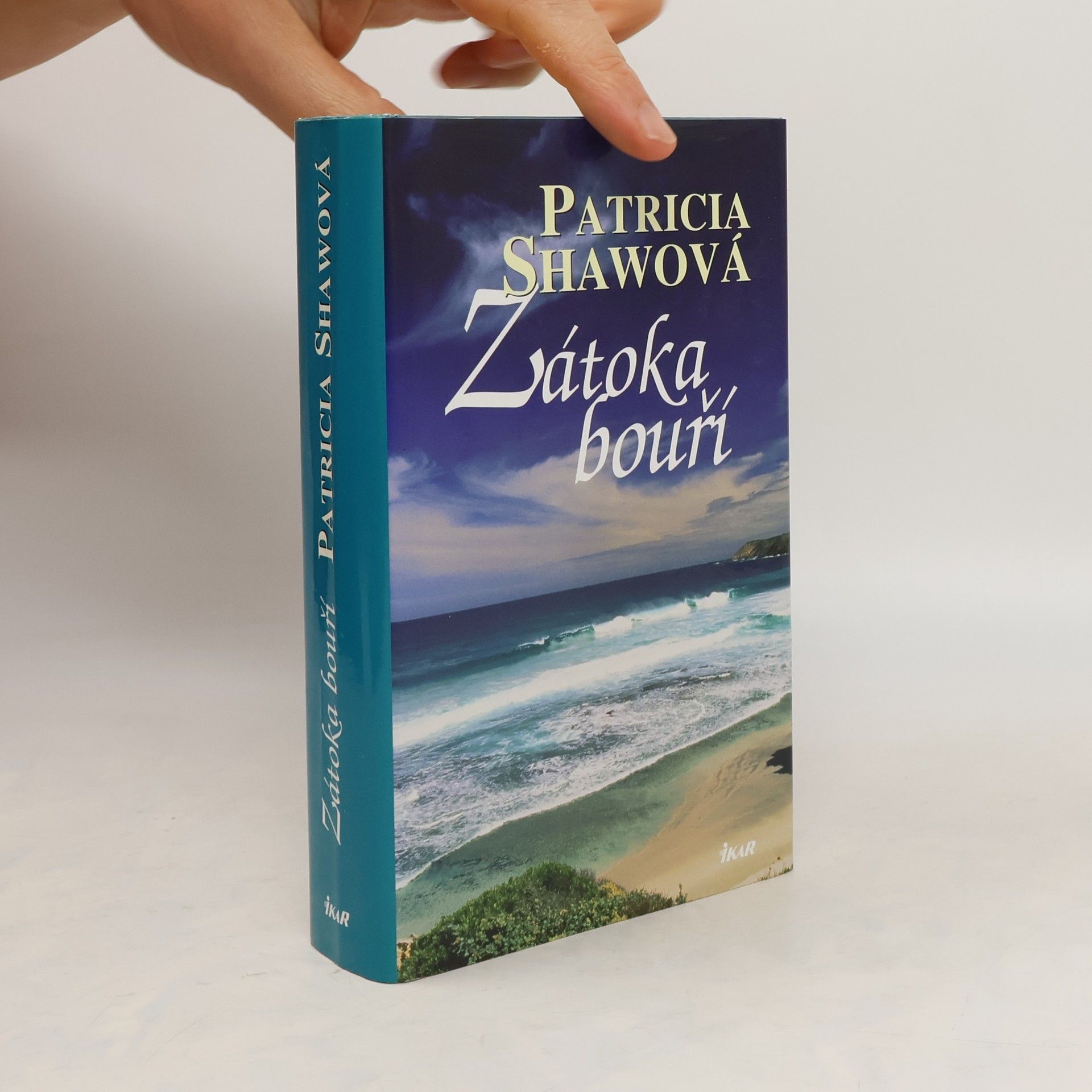 Patricia Shaw Zátoka bouří