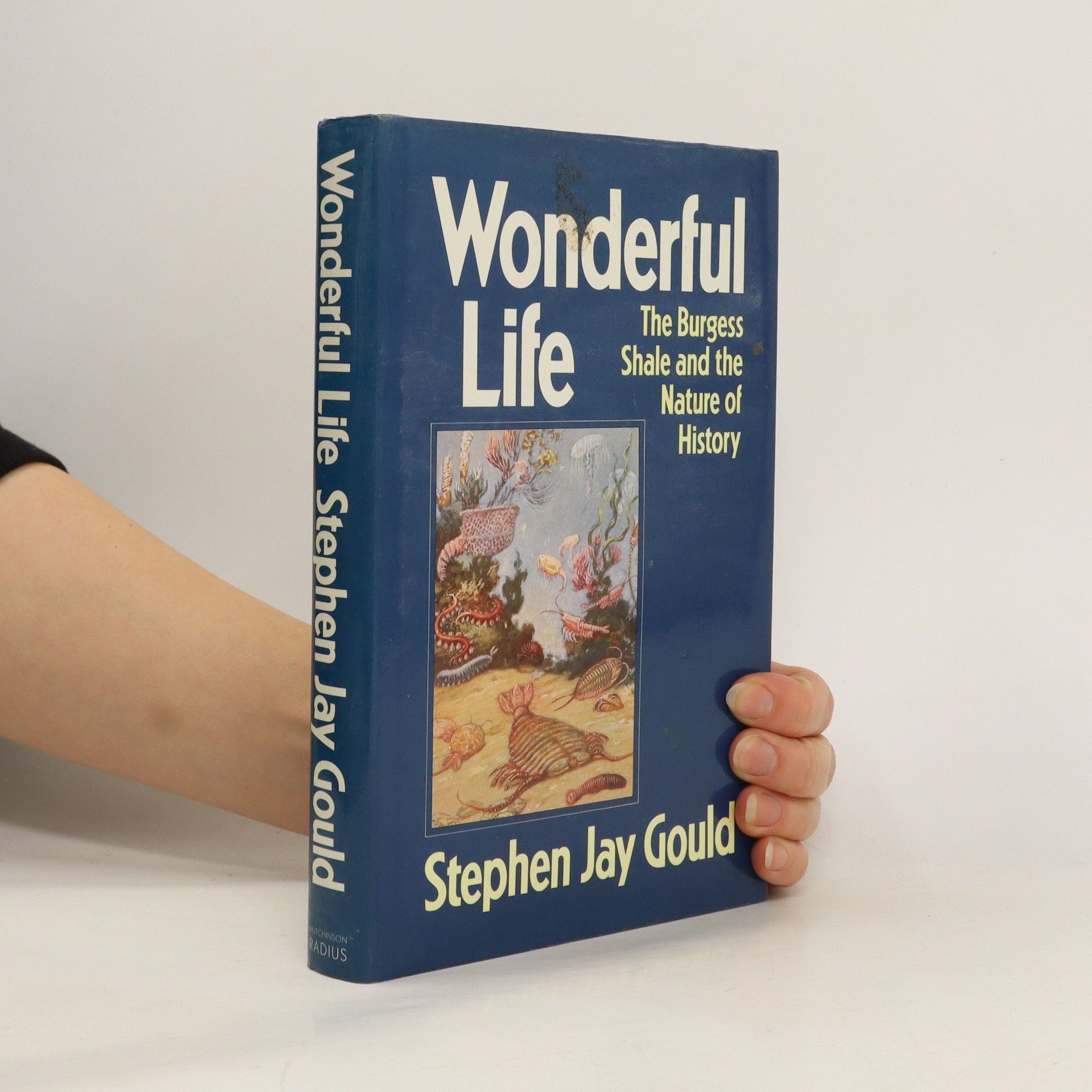 Stephen Jay Gould Wonderful Life