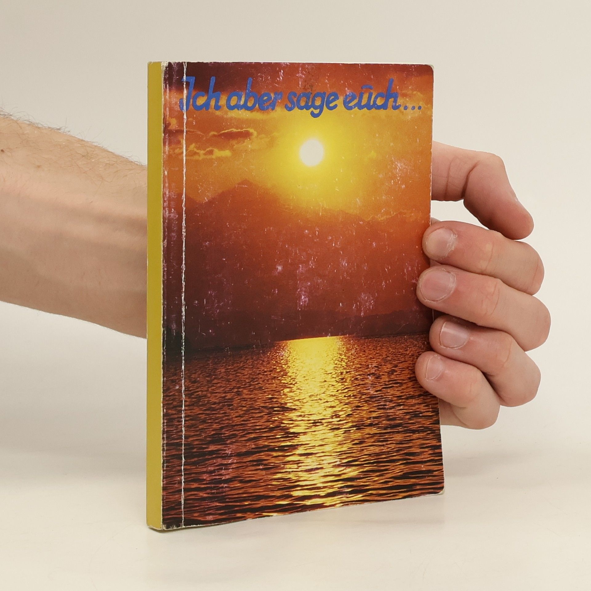 Collectif d'auteurs Ich aber sage euch...