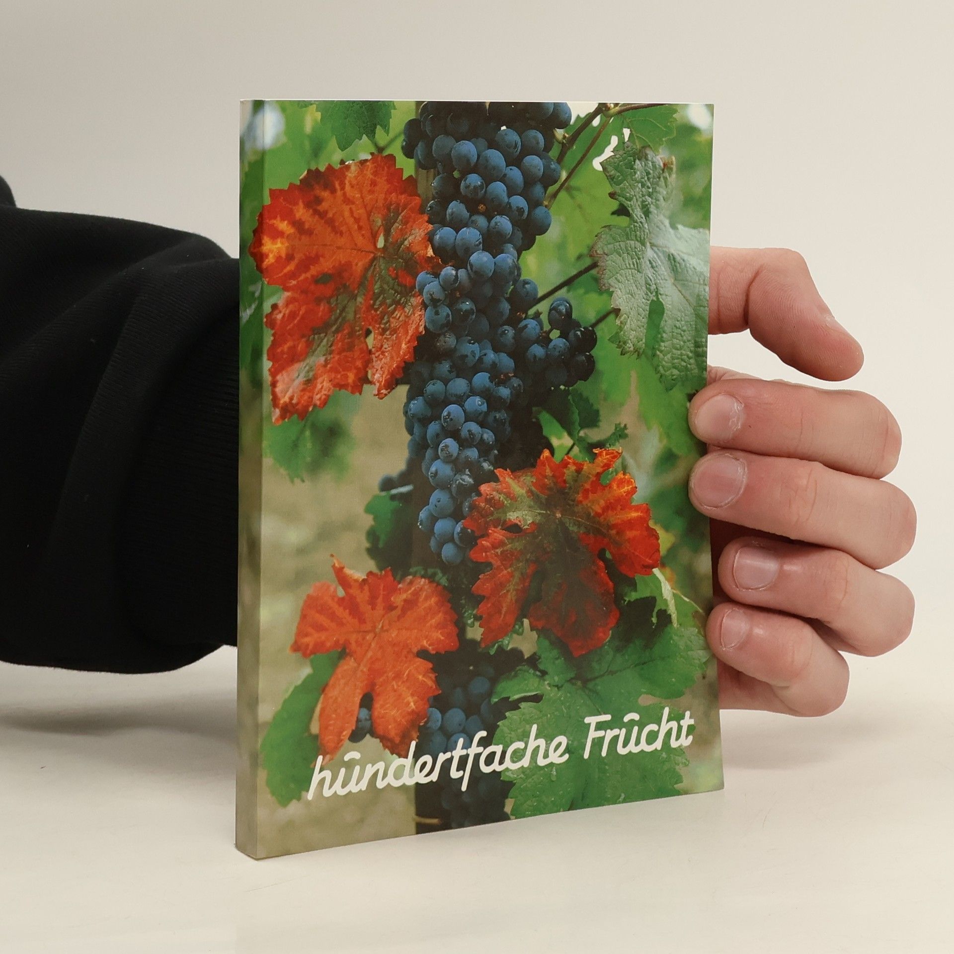 Autorenkollektiv Hundertfache Frucht