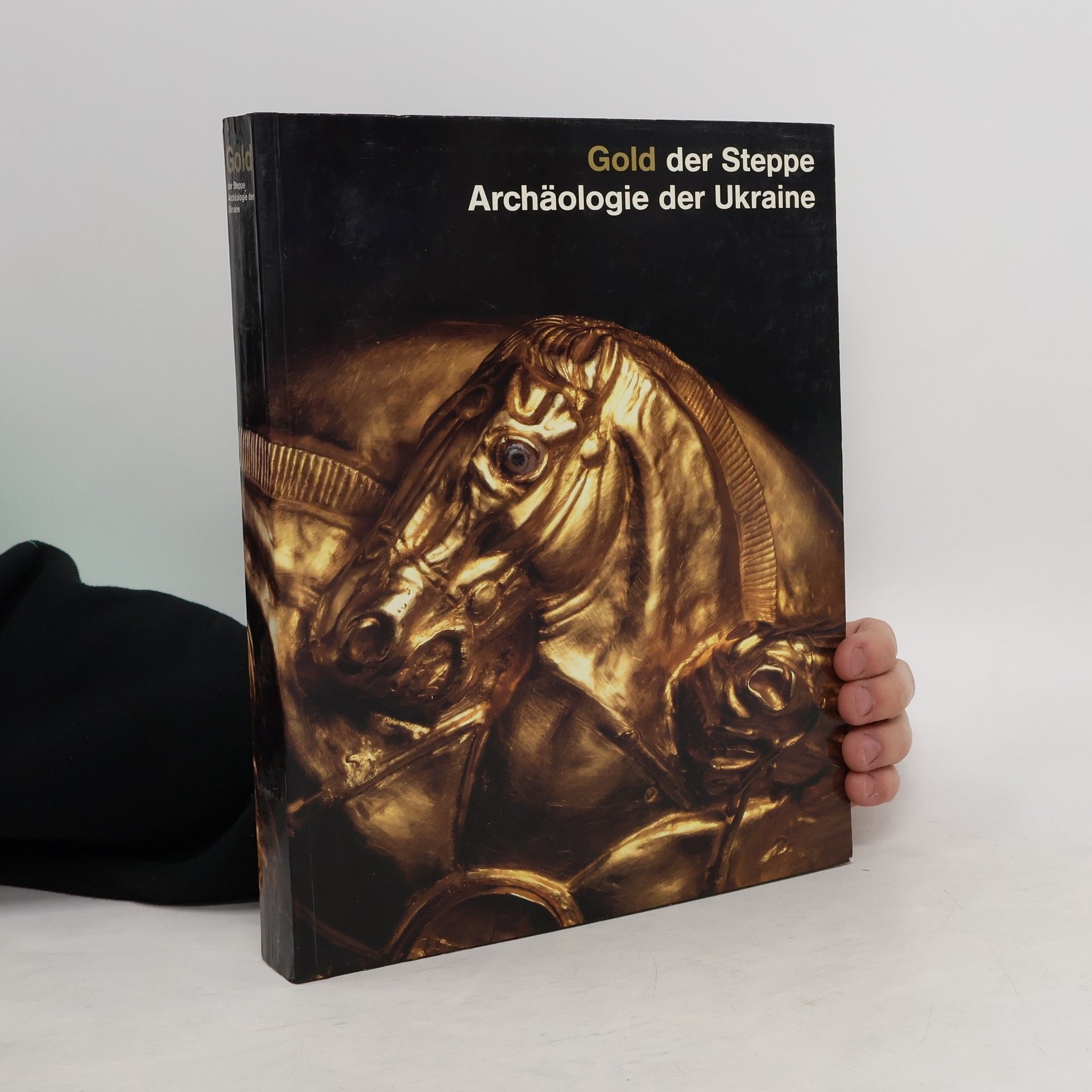 Renate Rolle Gold der Steppe. Archäologie der Ukraine