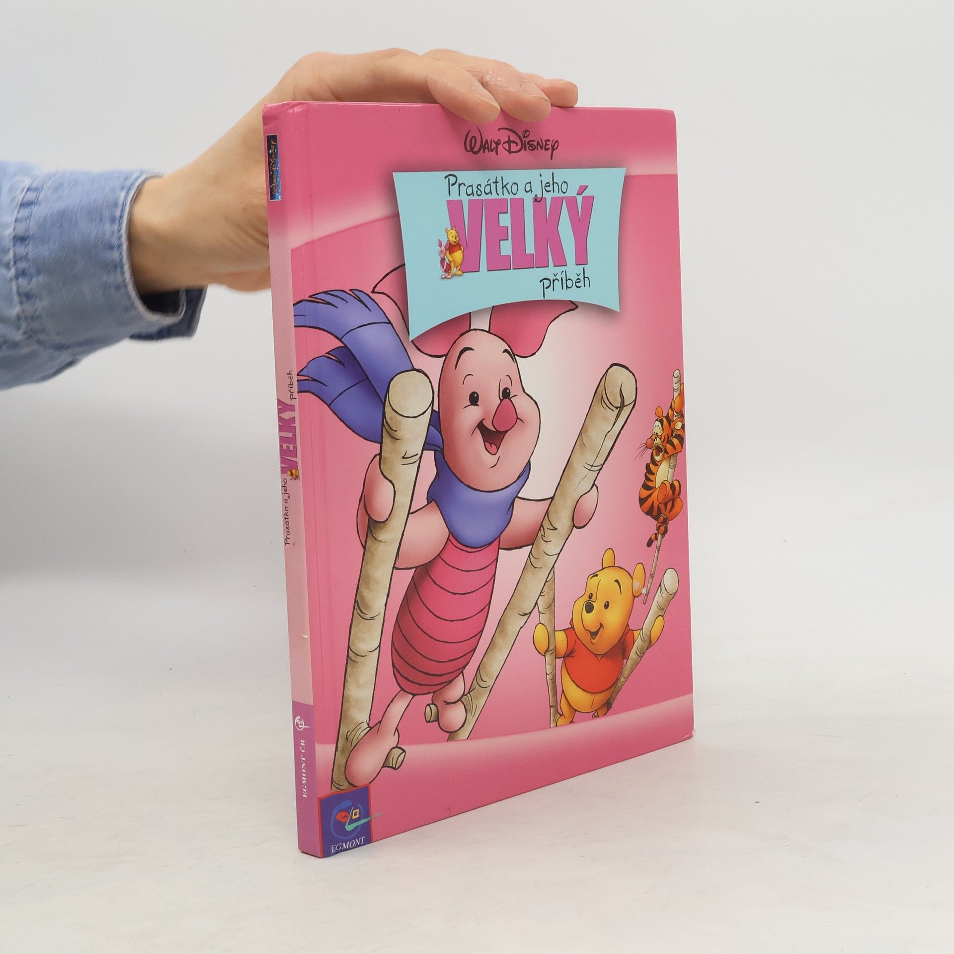 kolektiv Prasátko a jeho velký příběh