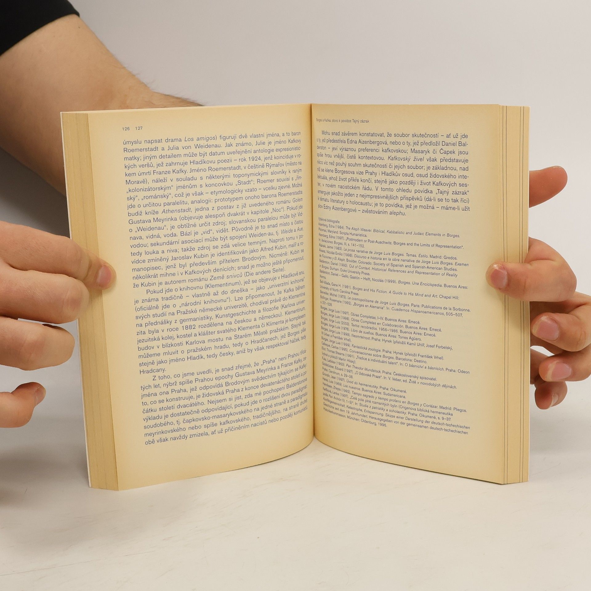 Autorenkollektiv Svět literatury 28, 29, 30/2004