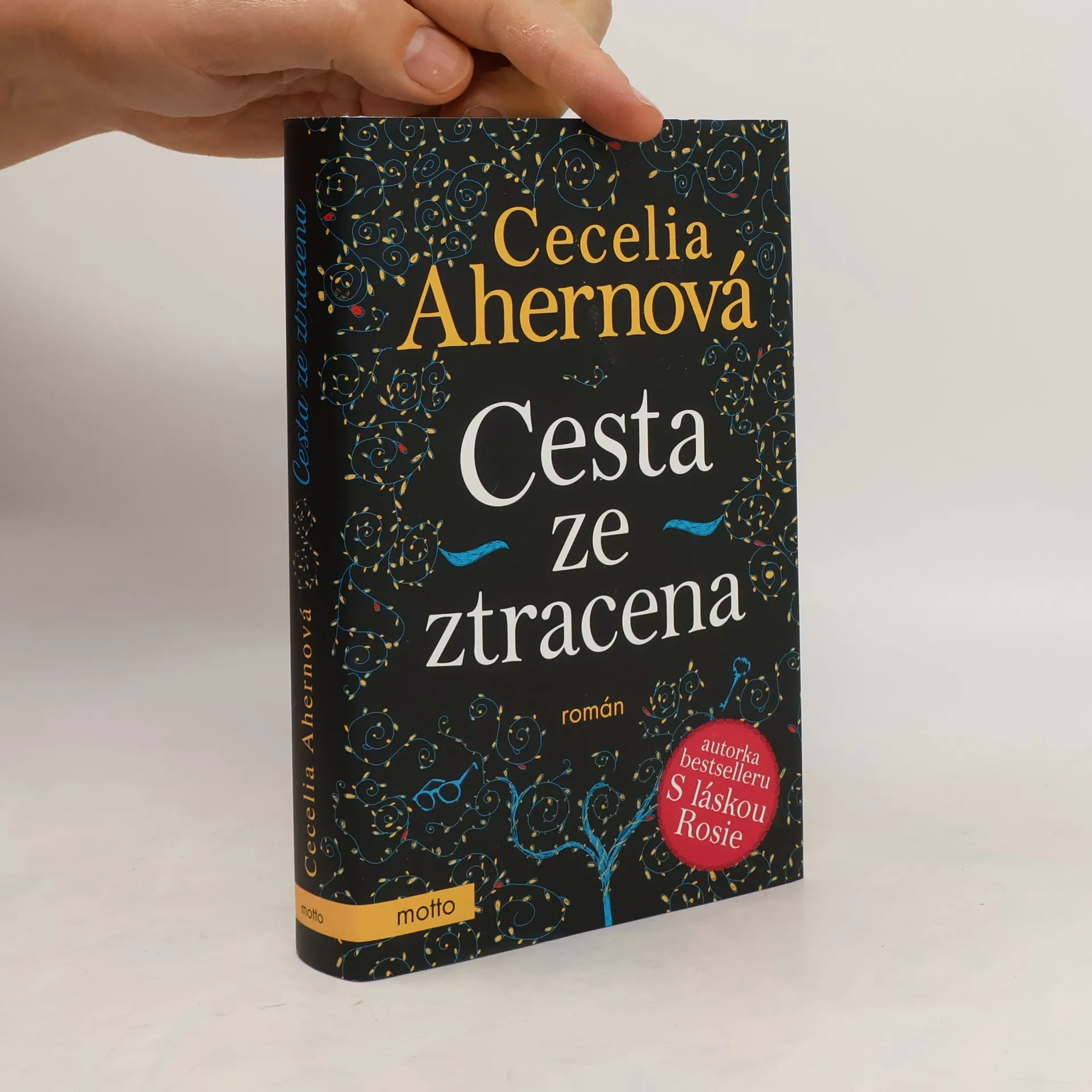 Cesta ze ztracena | Kniha | pevná | Cecelia Ahern | CS