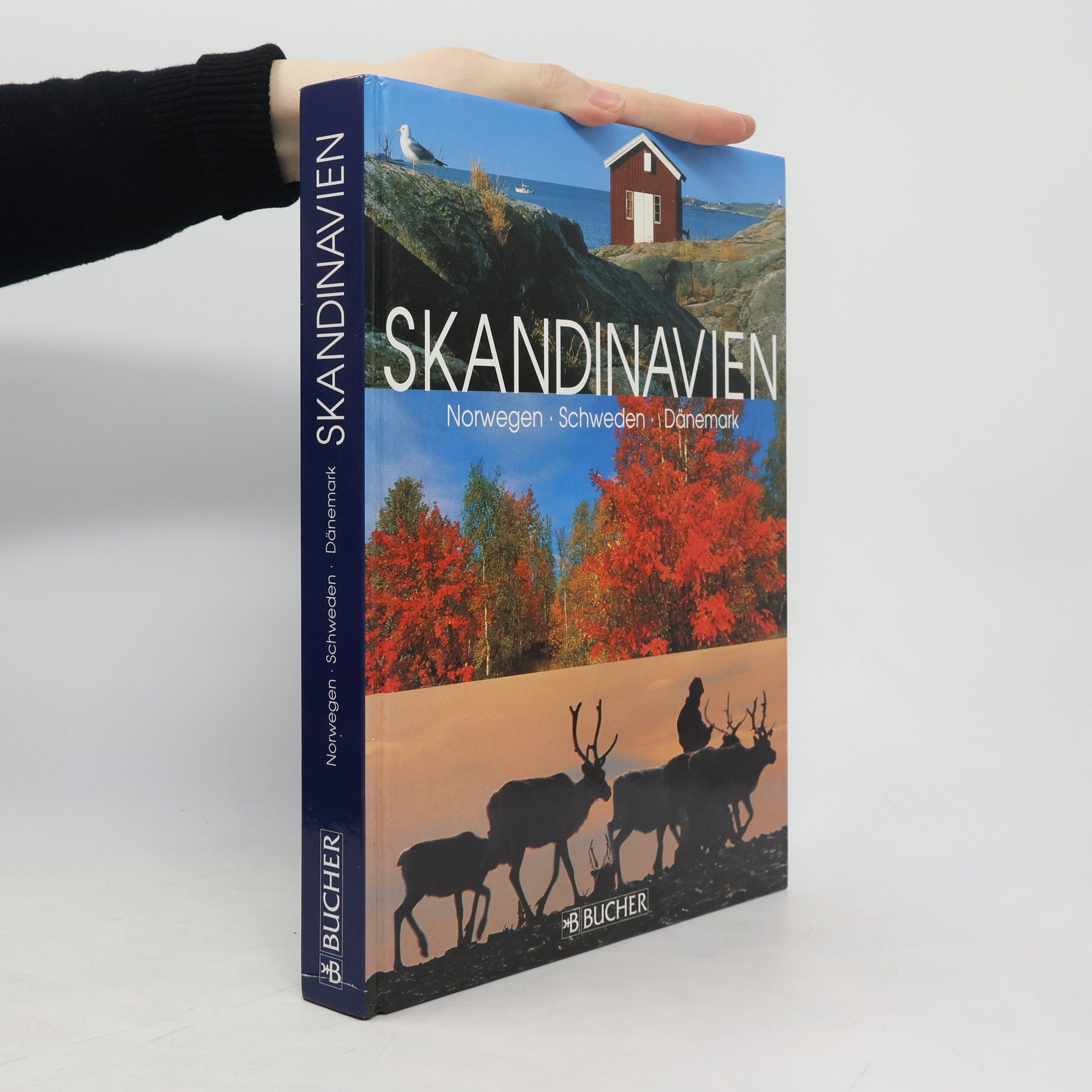 Hauke Dressler Skandinavien