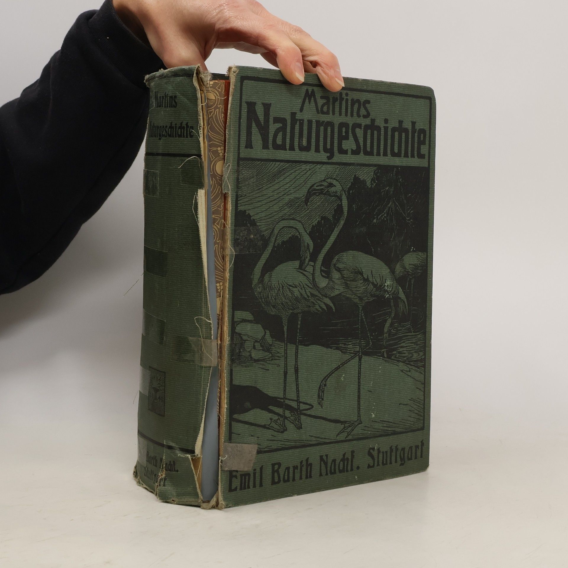 Martin's grosse Naturgeschichte