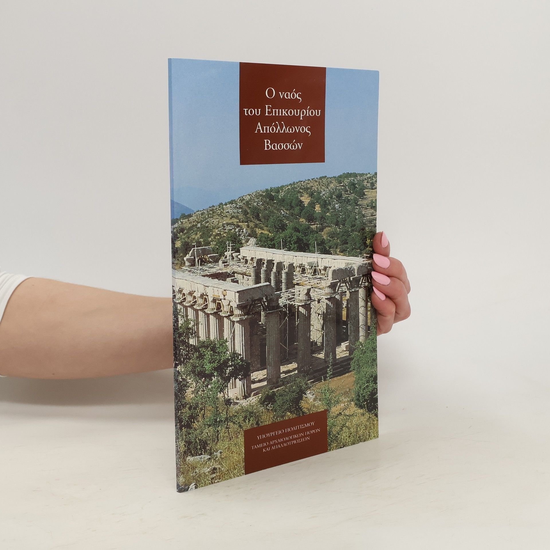 Autorenkollektiv Ο ναός του Επικουρίου Απόλλωνος Βασσών