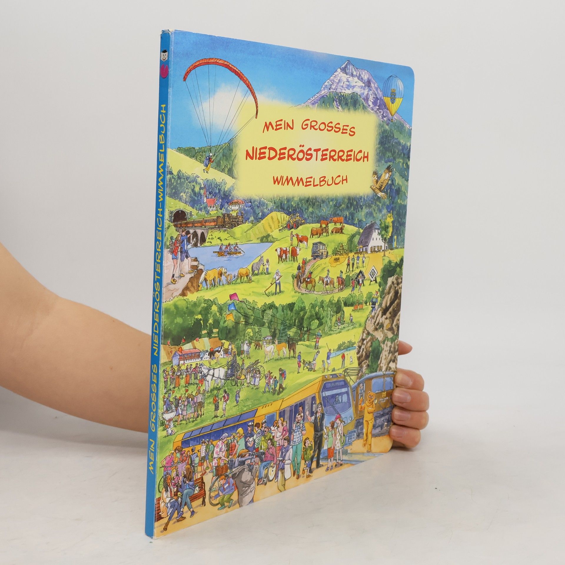 Collectif d'auteurs Mein grosses Niederösterreich Wimmelbuch