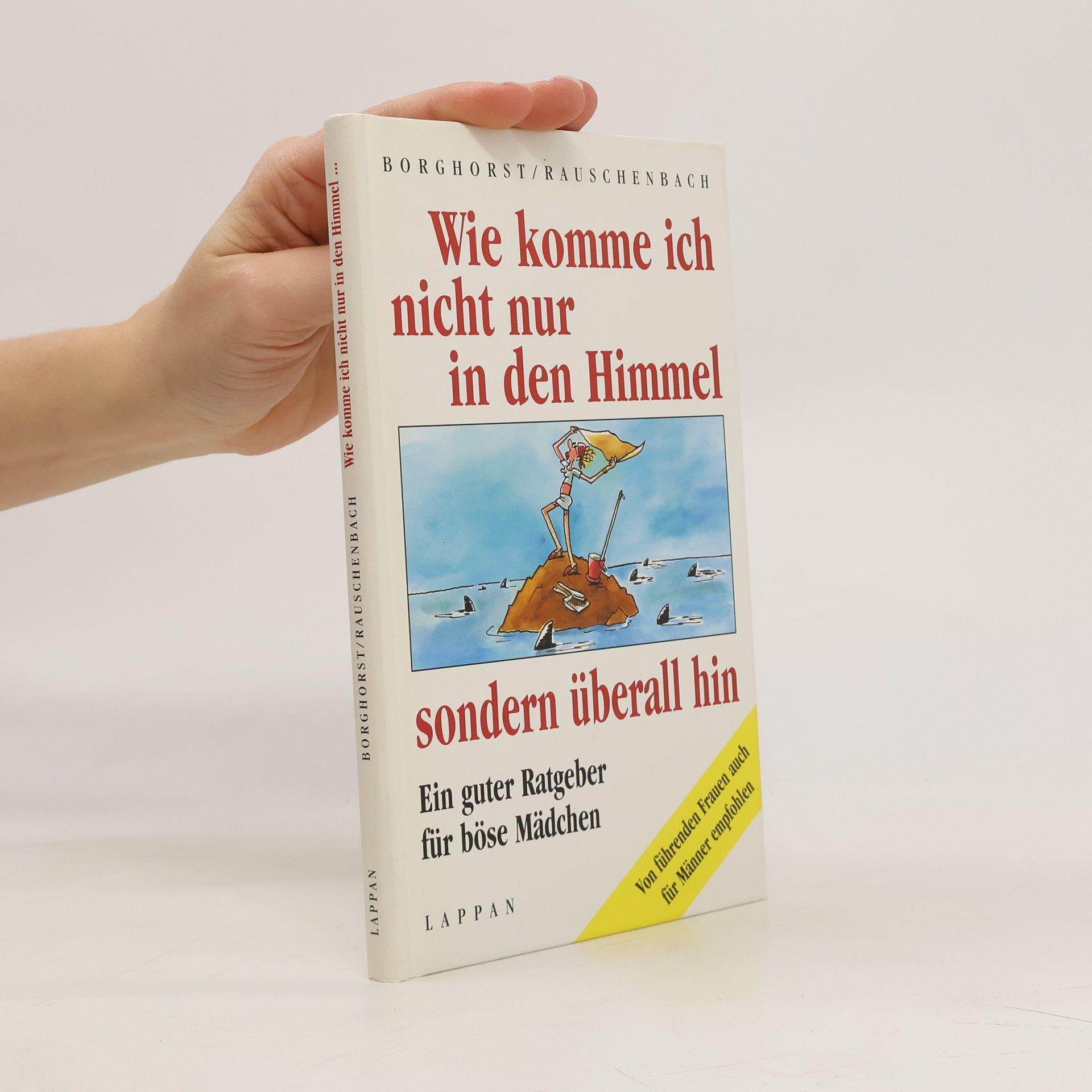 Hans Borghorst Wie komme ich nicht nur in den Himmel, sondern überall hin