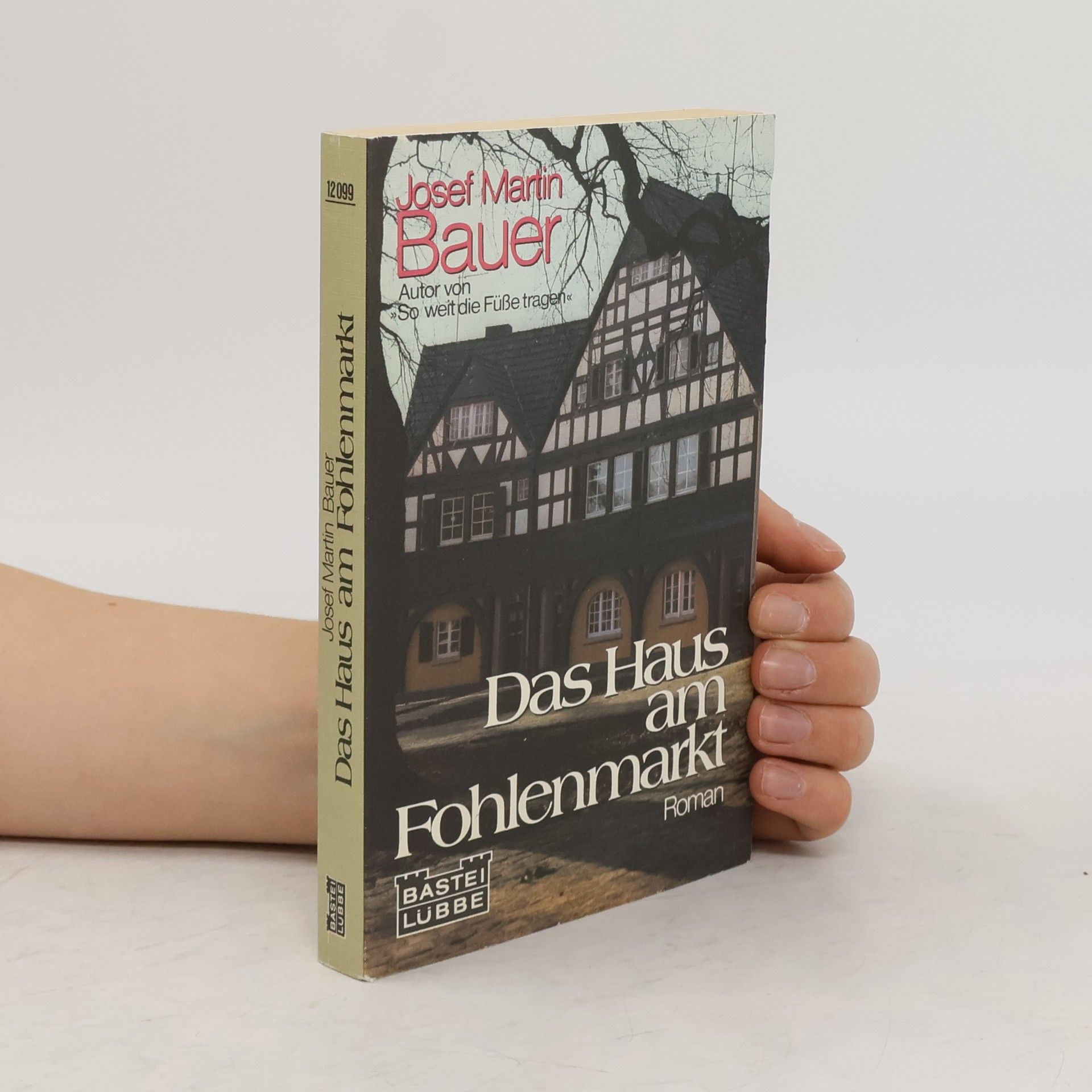 Josef Martin Bauer Das Haus am Fohlenmarkt
