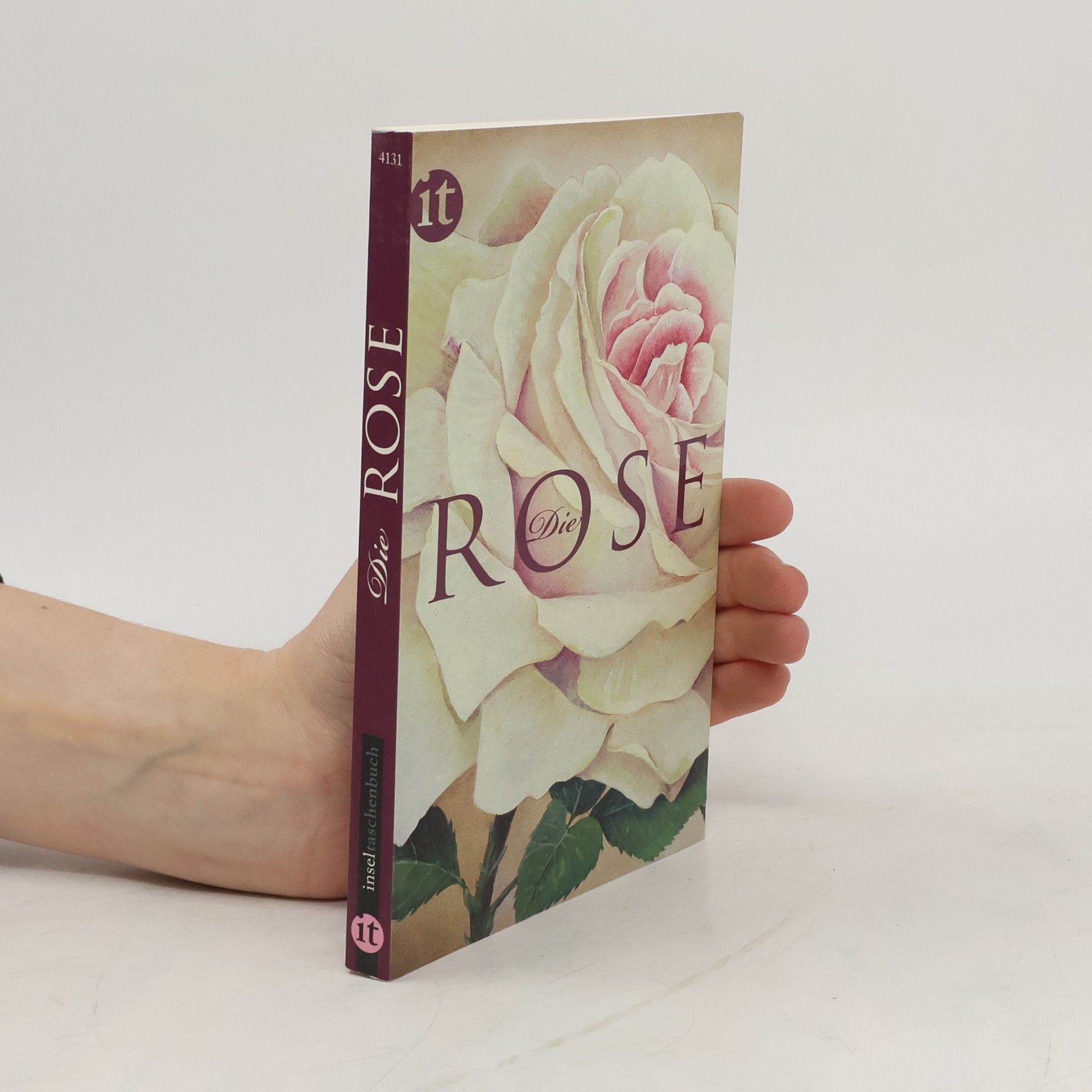 Beatrix Müller Die Rose