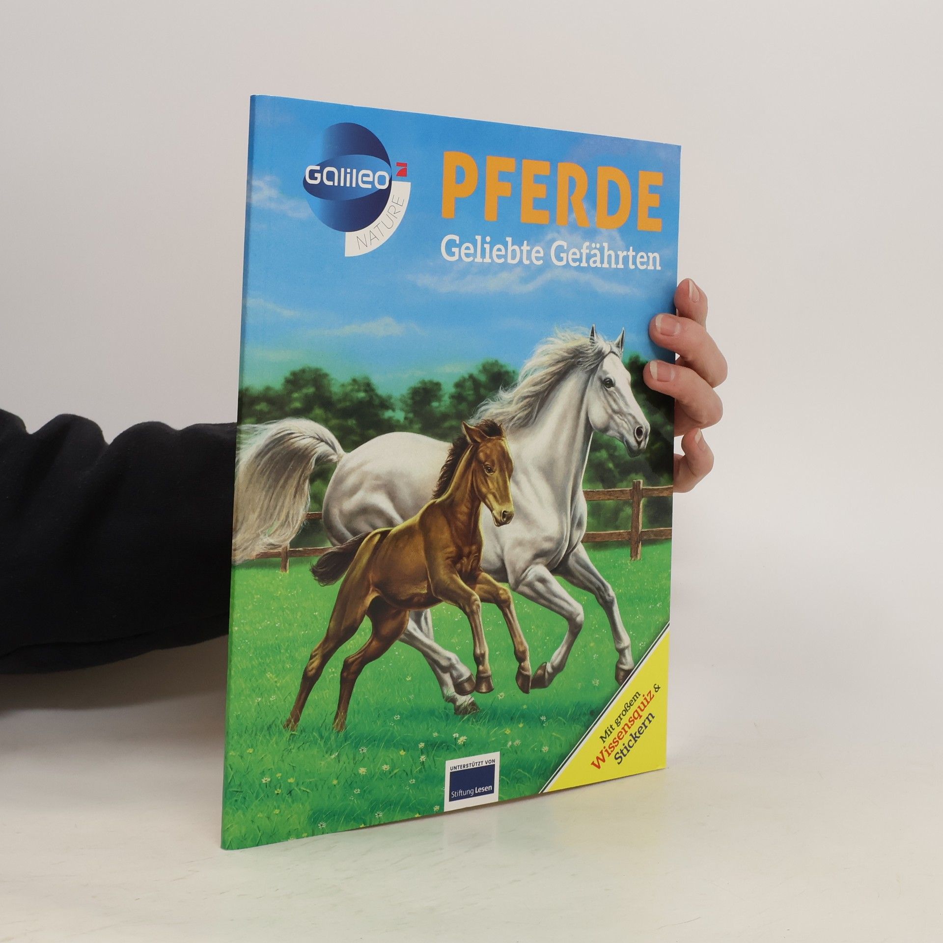Autorenkollektiv Pferde