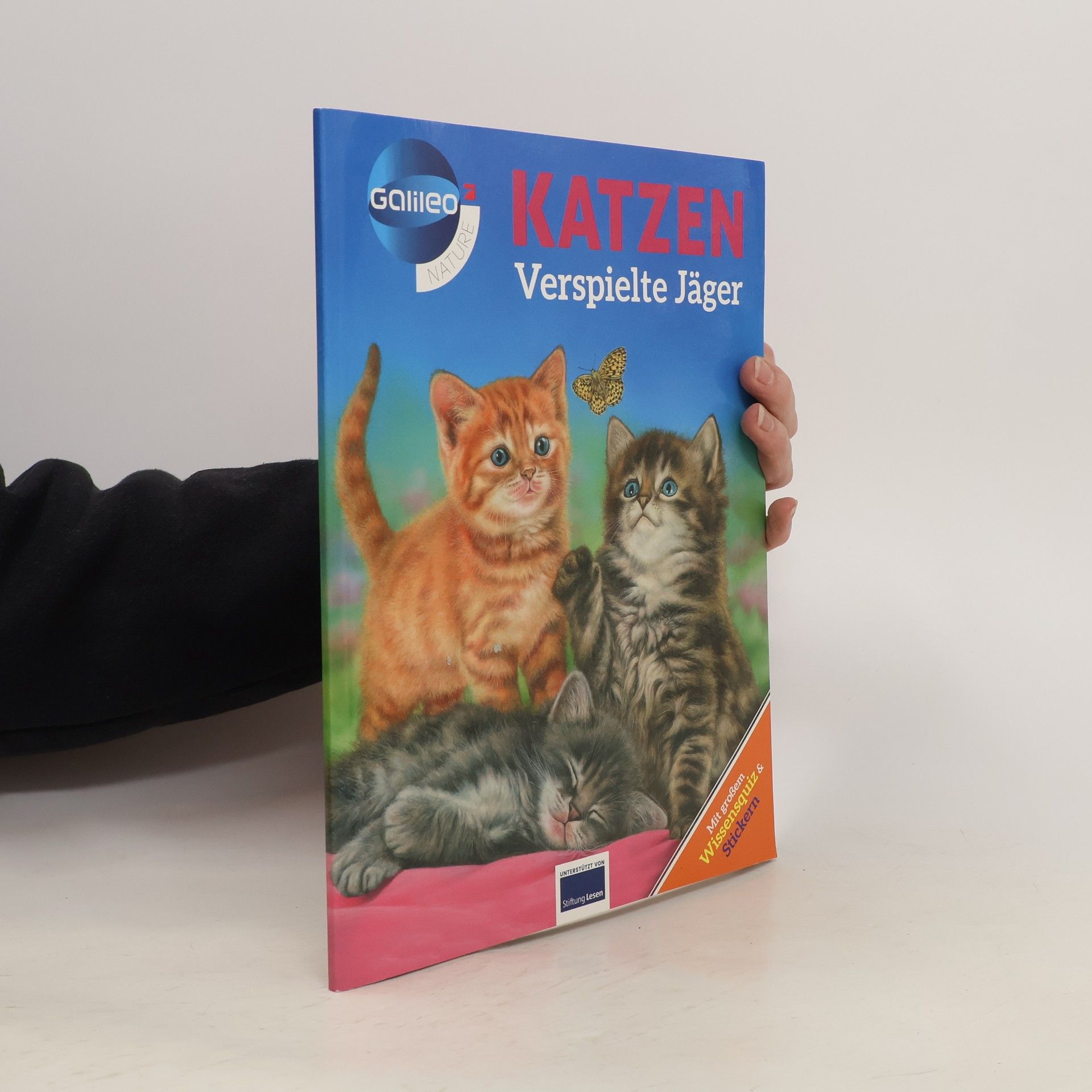 Autorenkollektiv Katzen