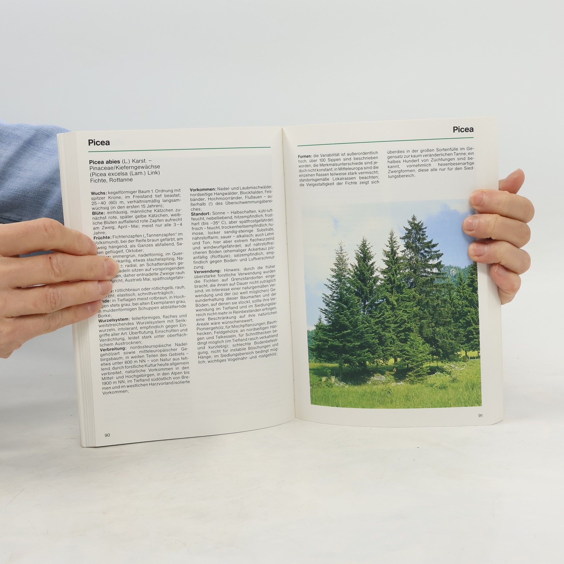 Autorenkollektiv Grün ist Leben: BDB-Handbuch Wildgehölze