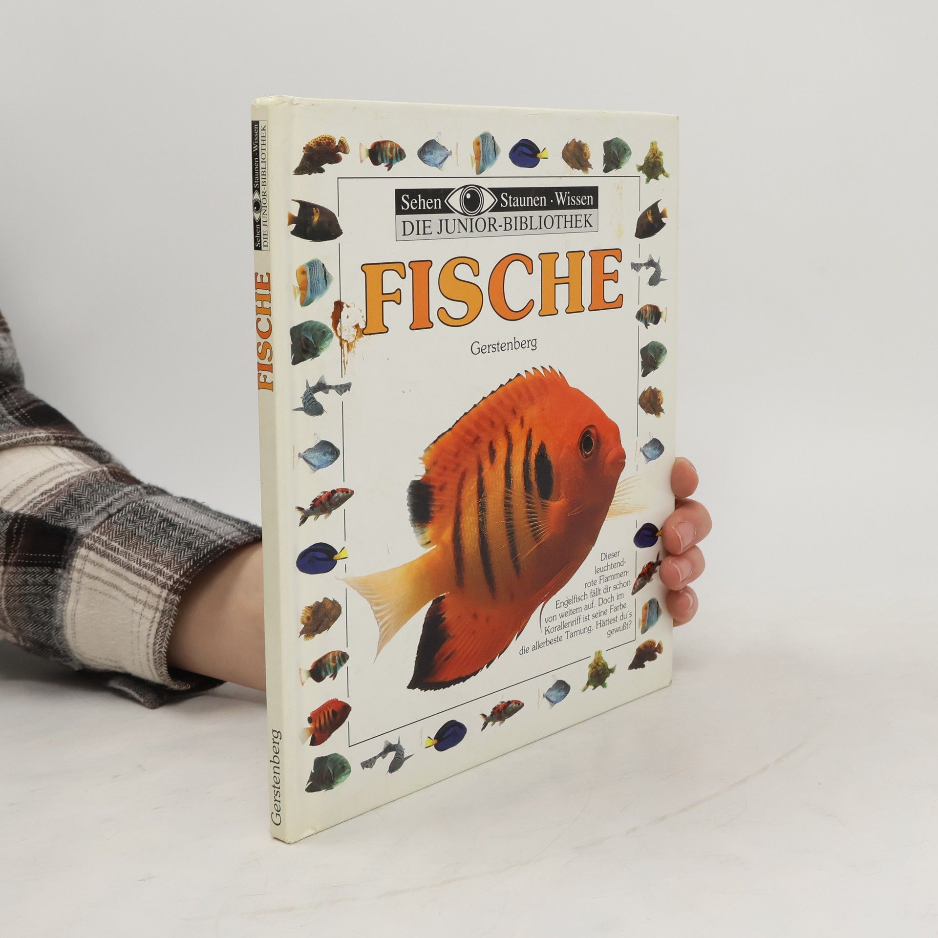 Mary Ling Fische