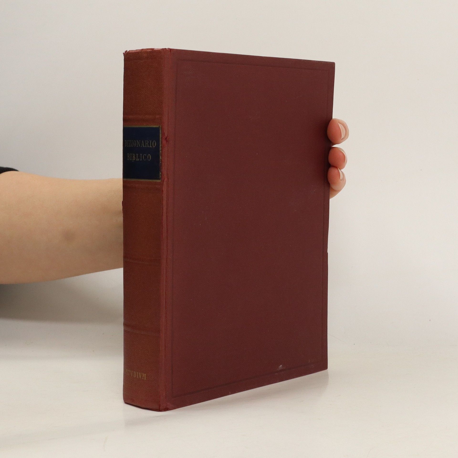AA.VV. Dizionario biblico