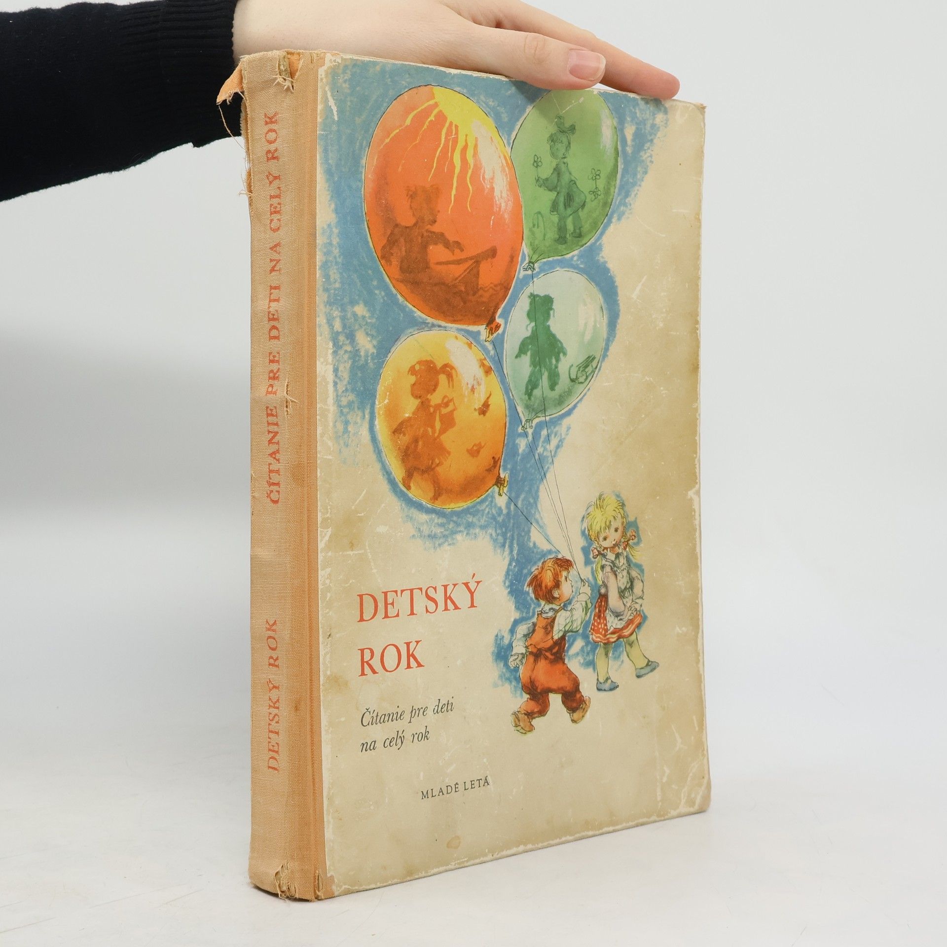 Collectif d'auteurs Detský rok