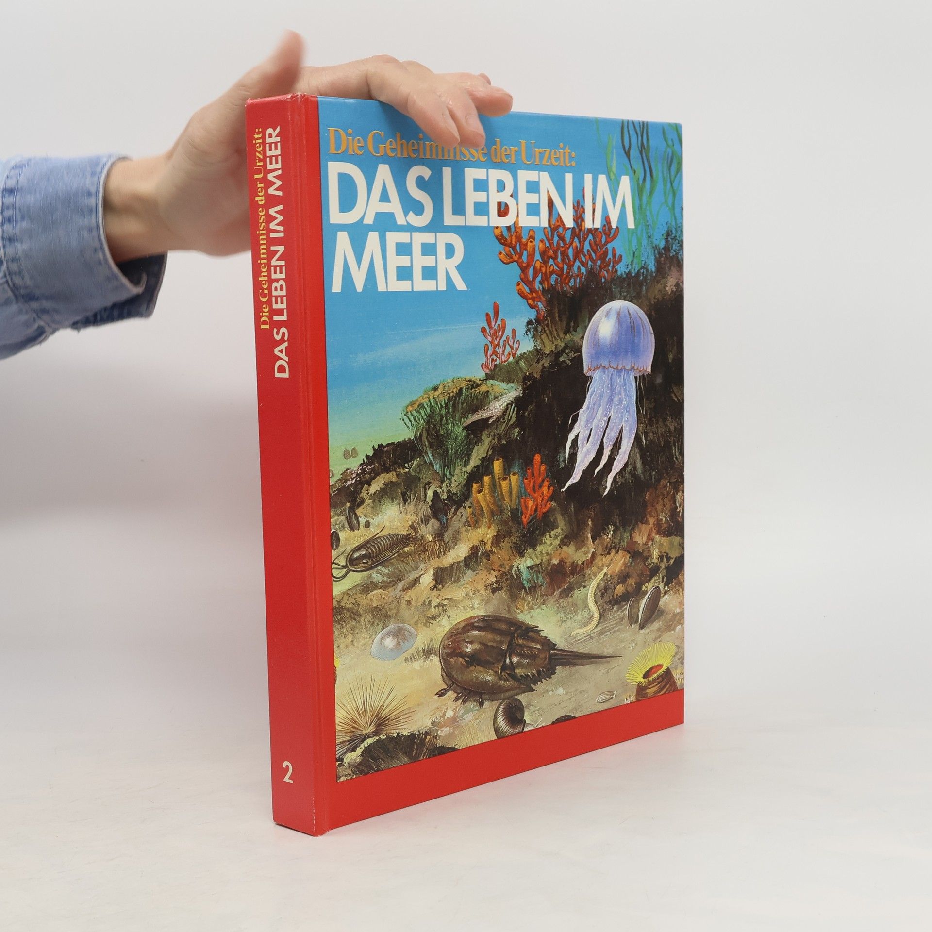 kolektiv Das Leben im Meer 2